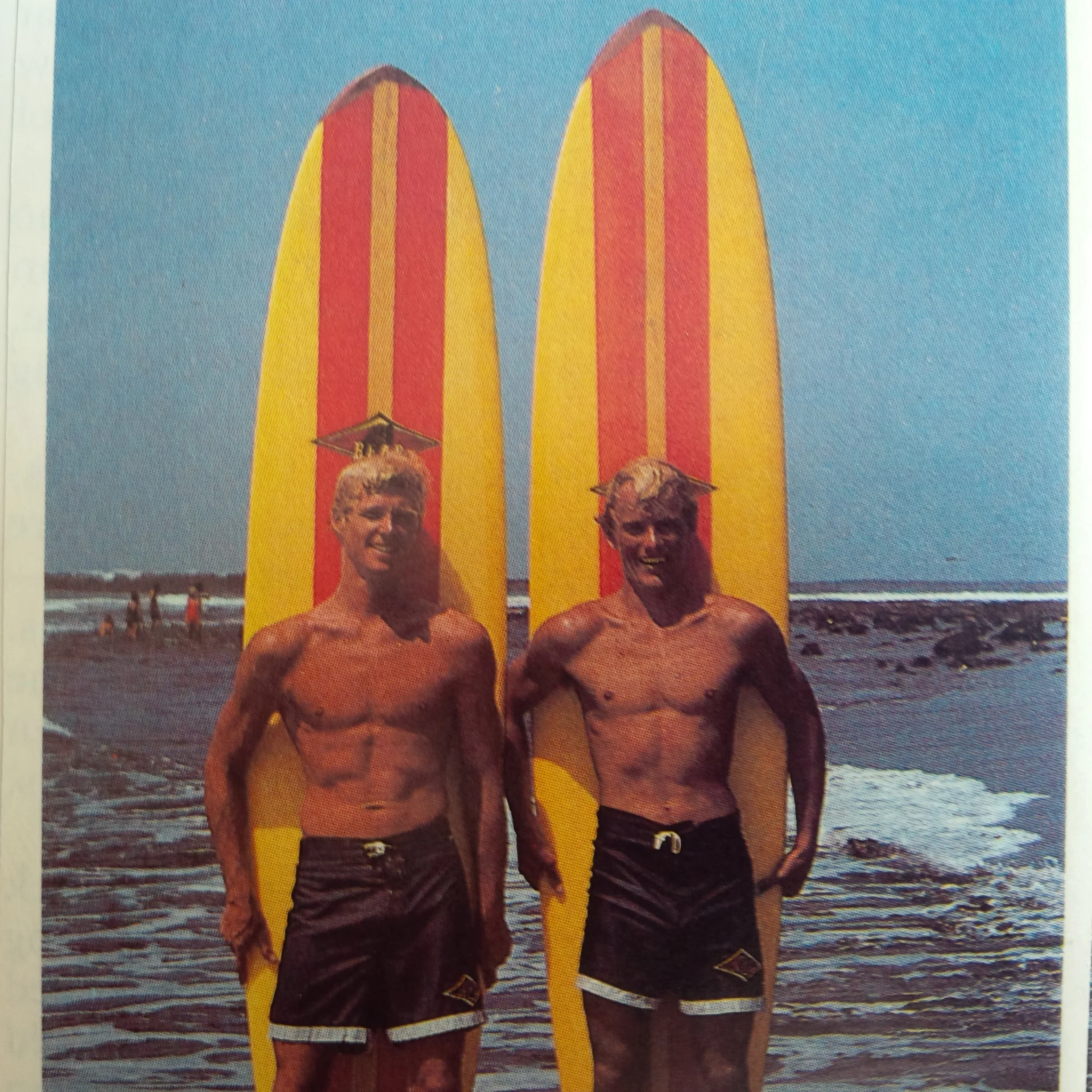 Bear Gallery — Roger Hinds Surfboards