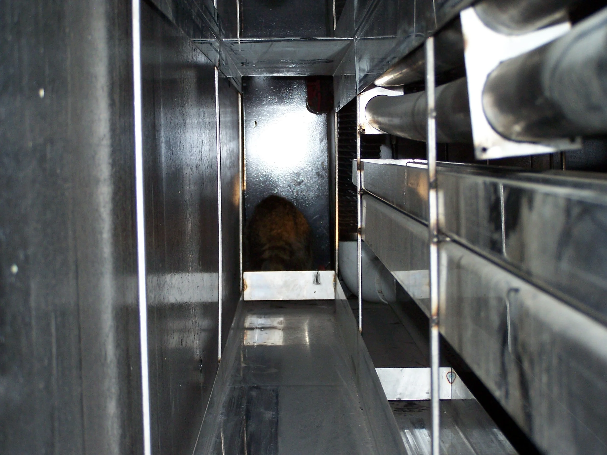 000_0043.jpg