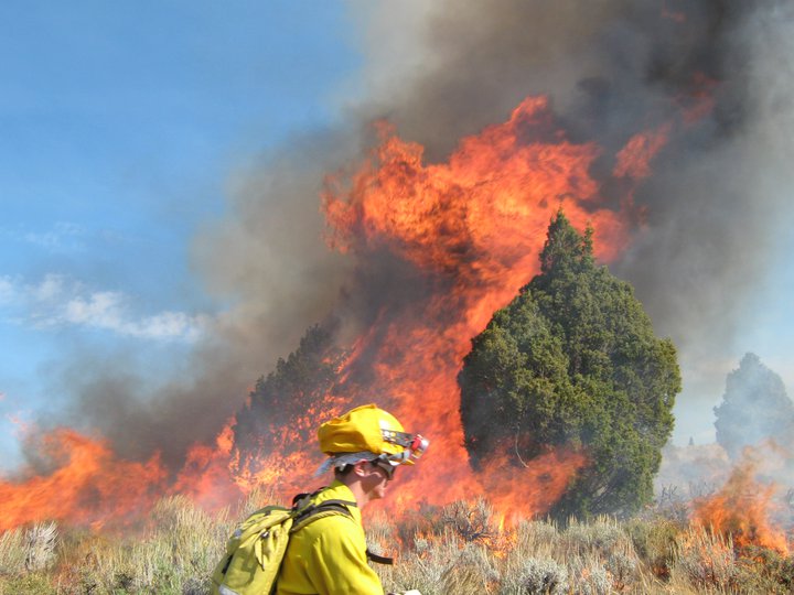 Harding 2010 fire.jpg