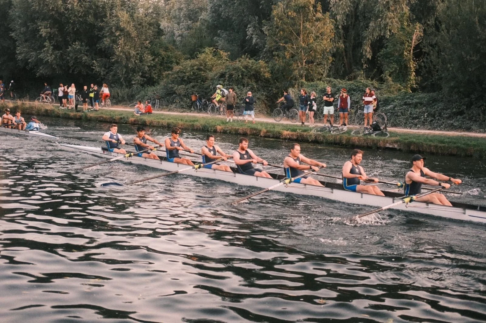 m1.jpg