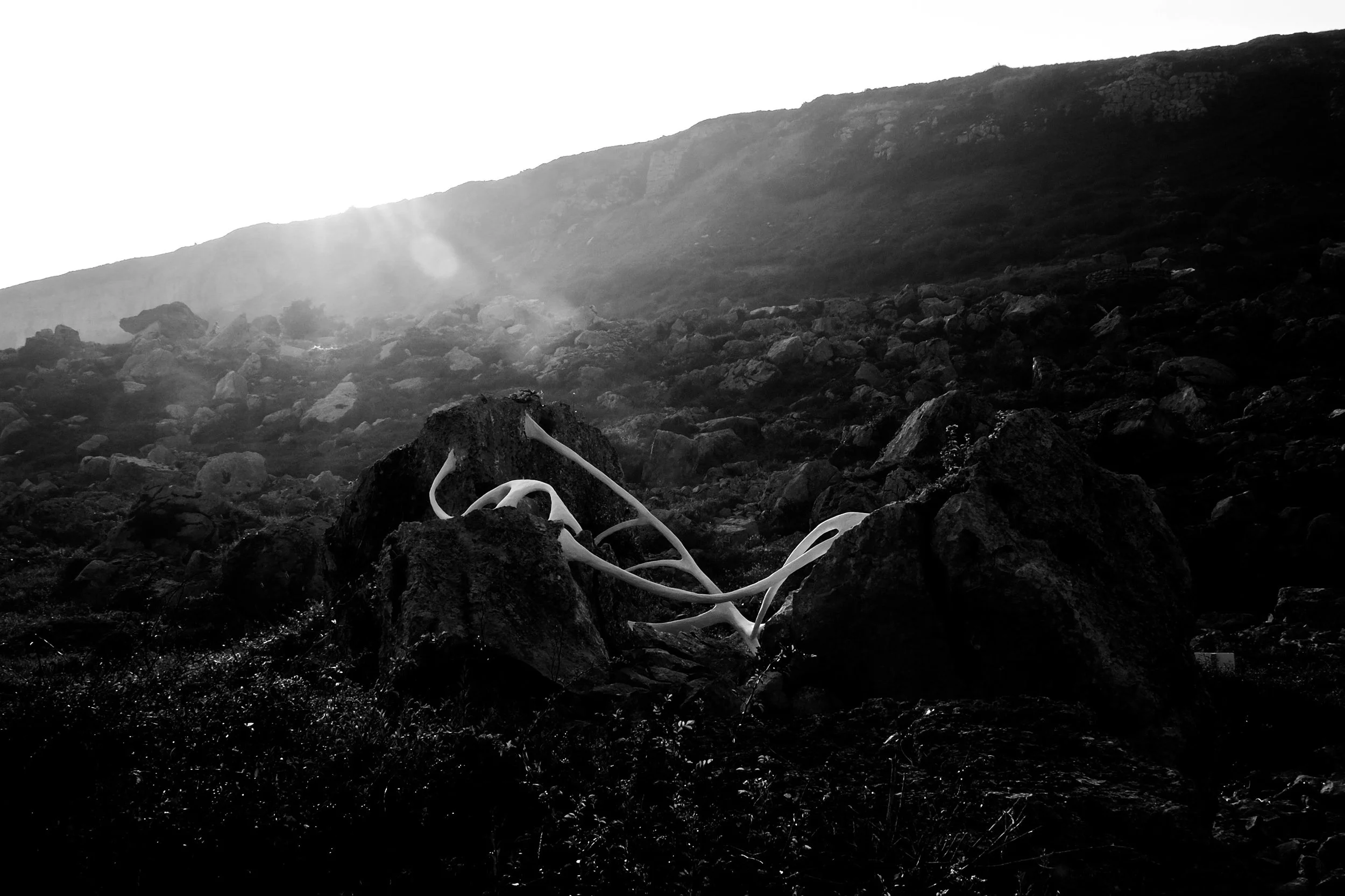 Isla Chaney copyright brendan buesnel 2014-14.jpg