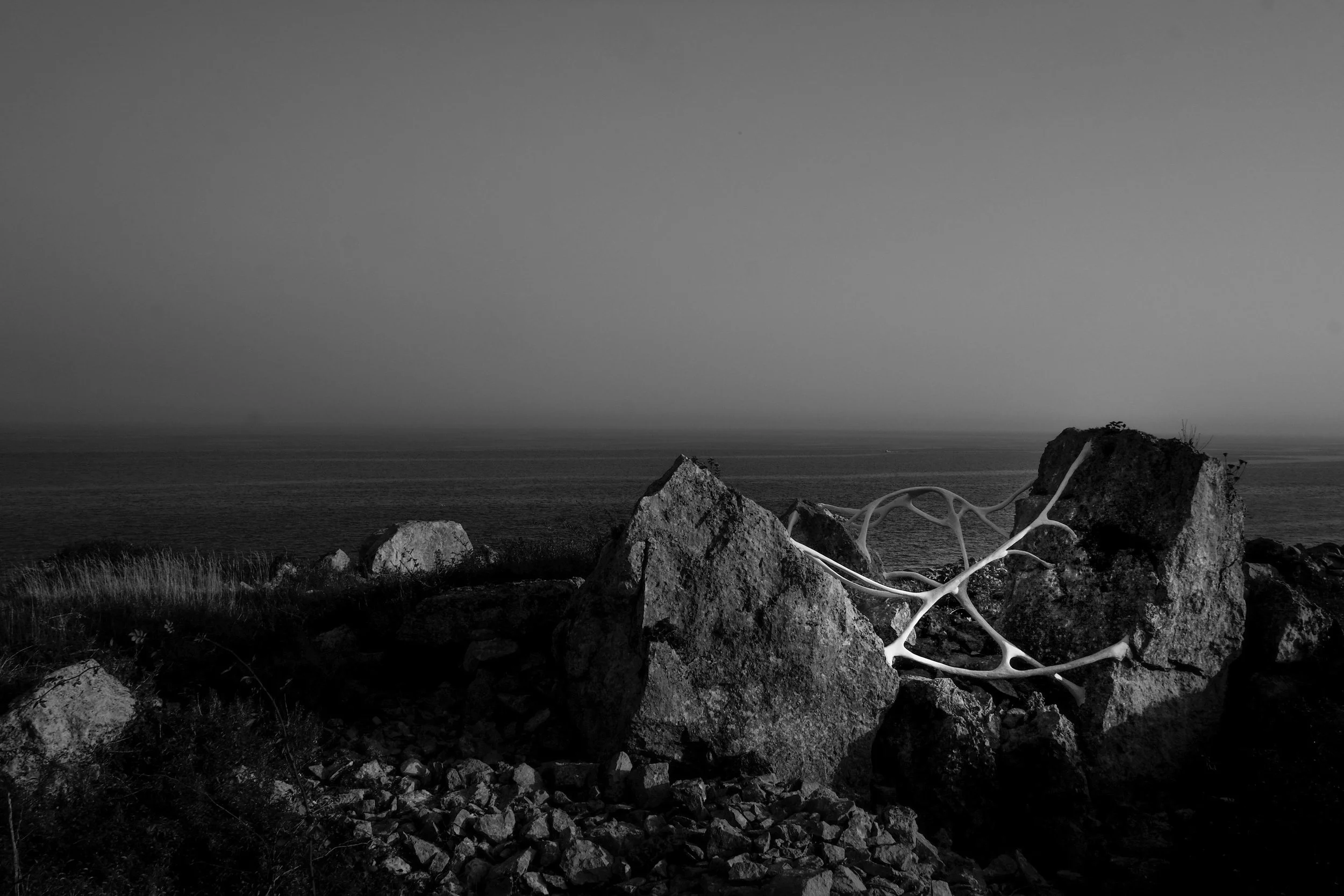 Isla Chaney copyright brendan buesnel 2014-13.jpg