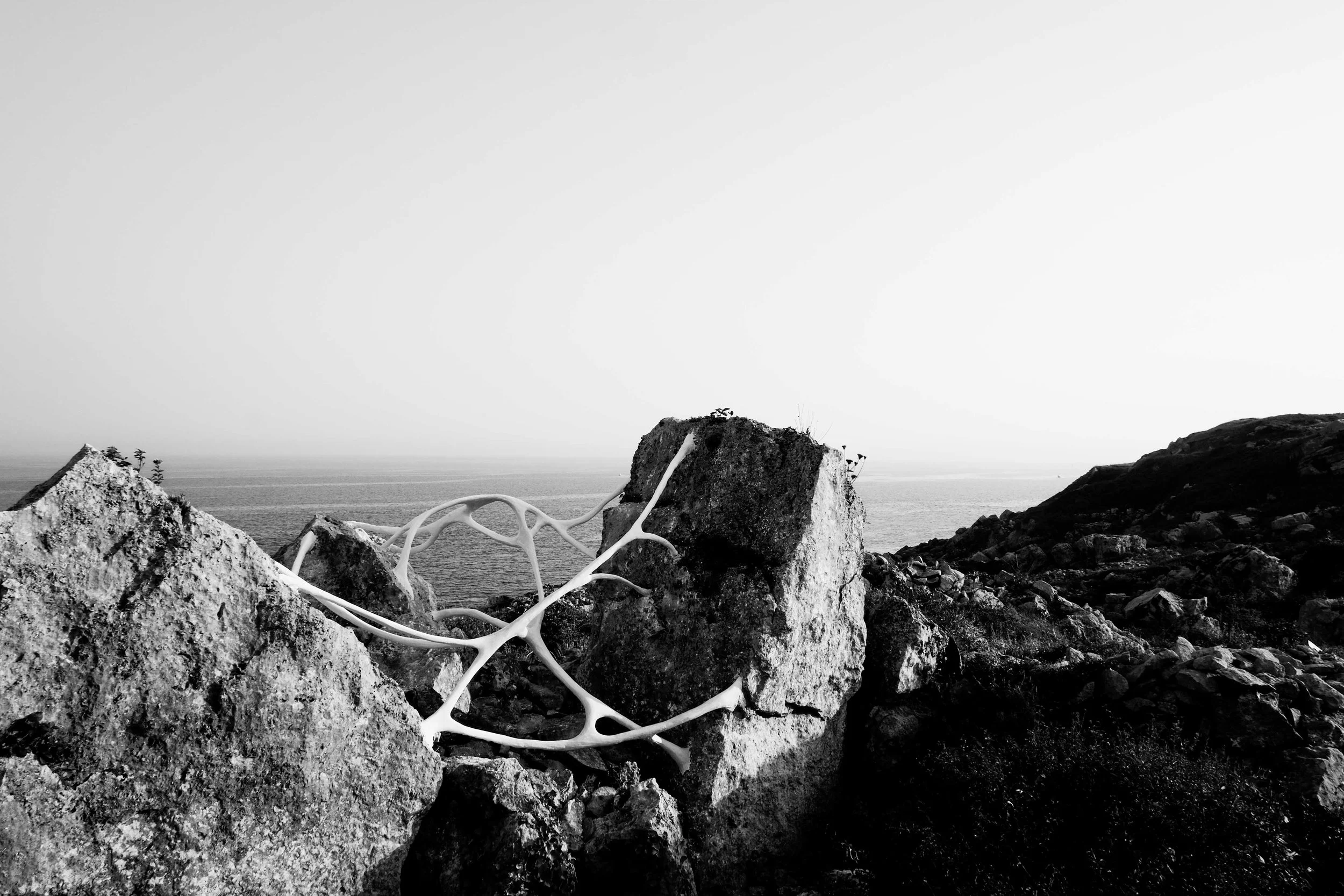 Isla Chaney copyright brendan buesnel 2014-11.jpg