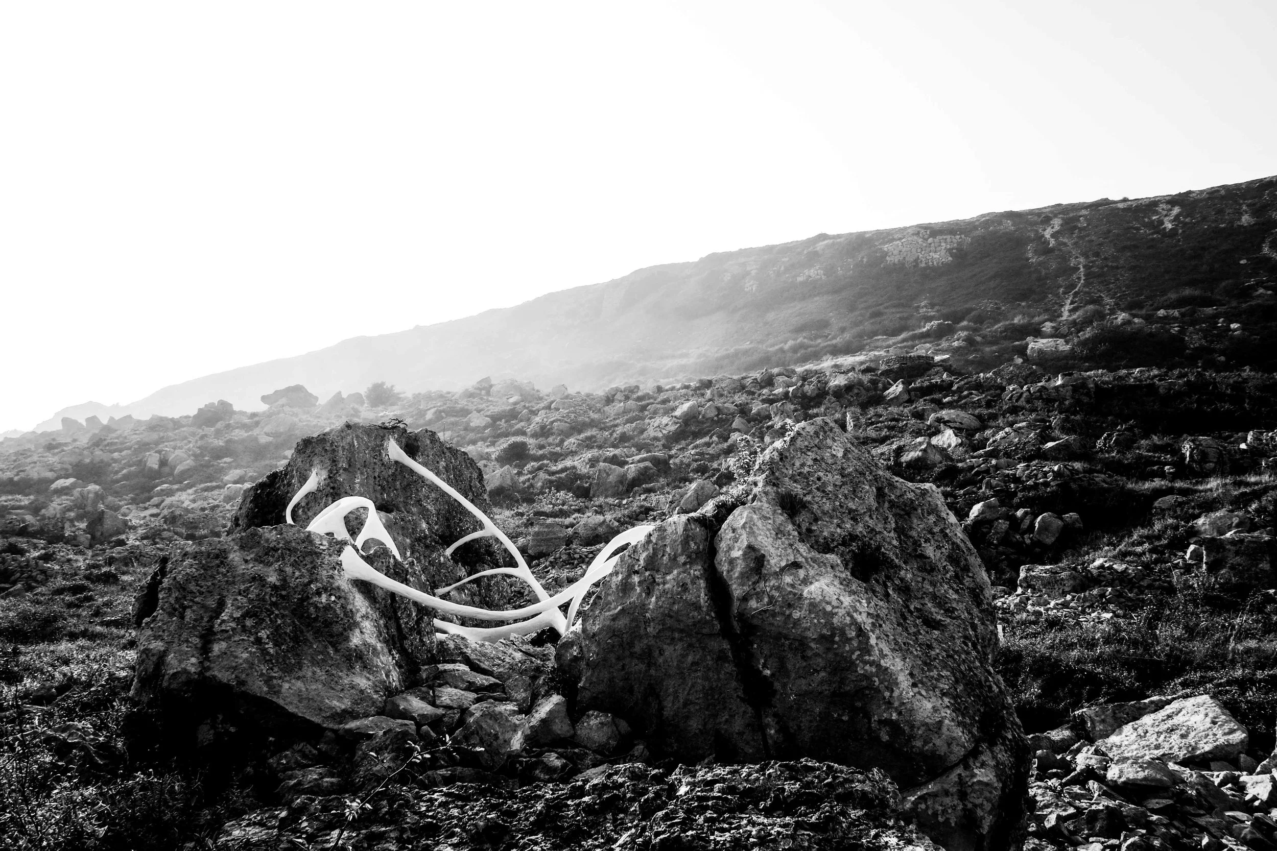 Isla Chaney copyright brendan buesnel 2014-7.jpg