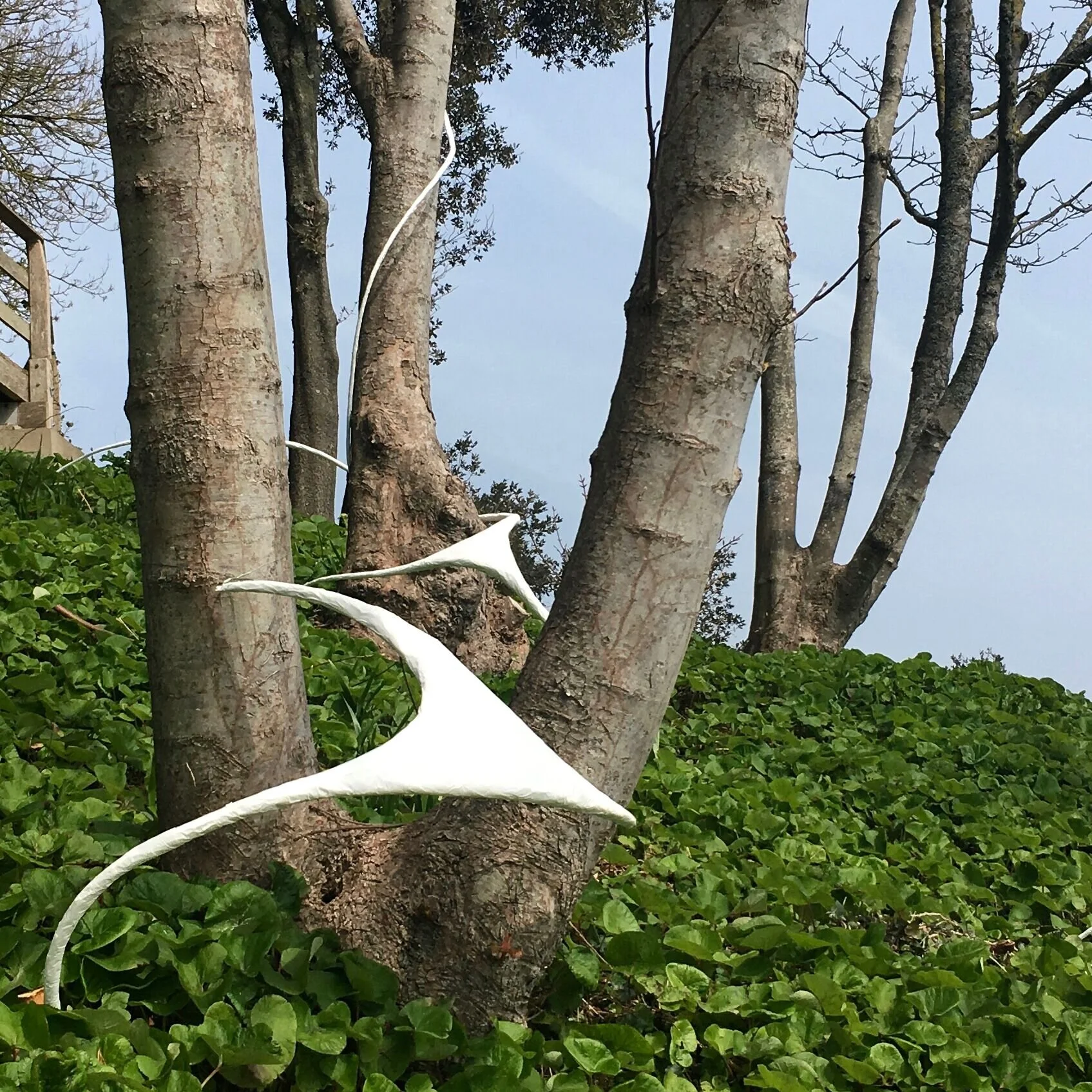 Sculpture - In search of connection - Wire -Individual pieces ranging from 50 cm to 150 cm .jpg