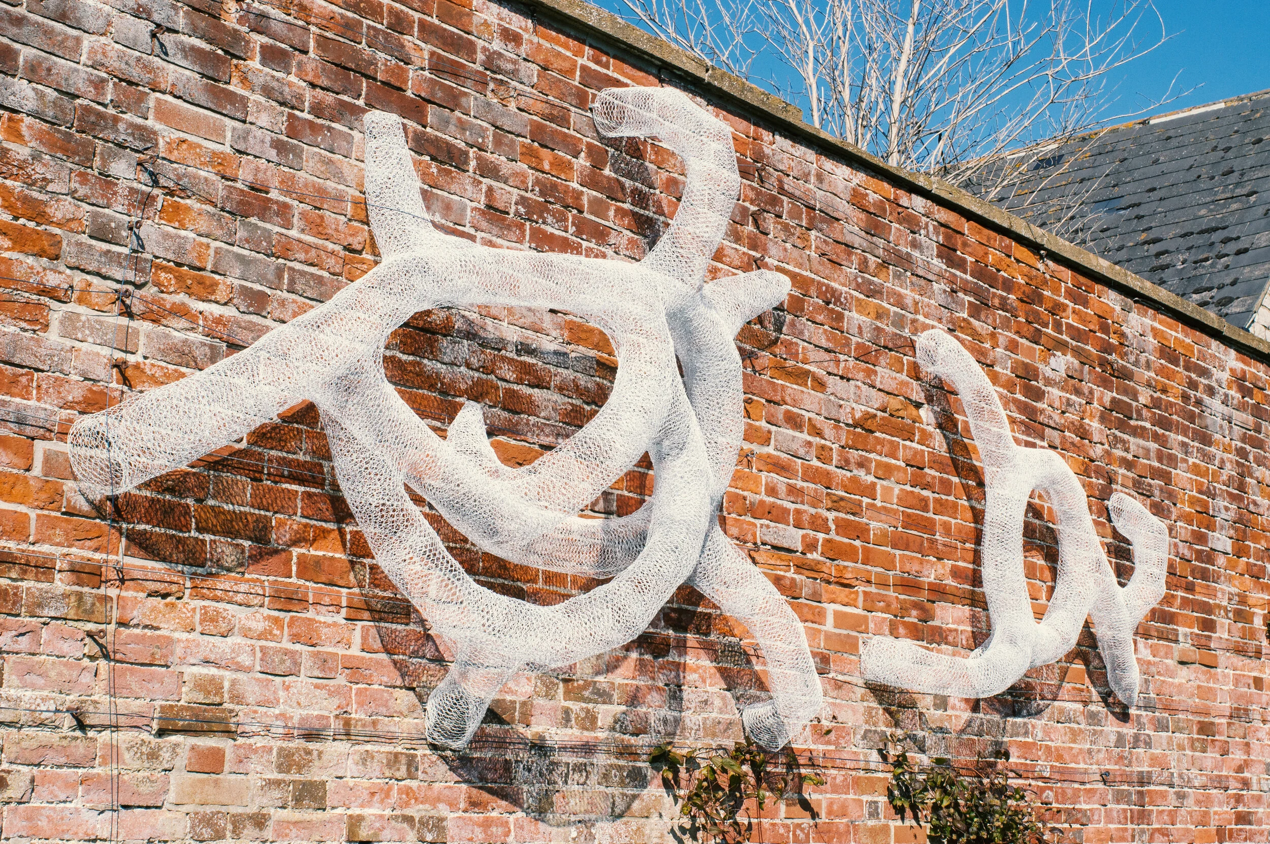 20190919_PETE_MILLSON_0135.jpg