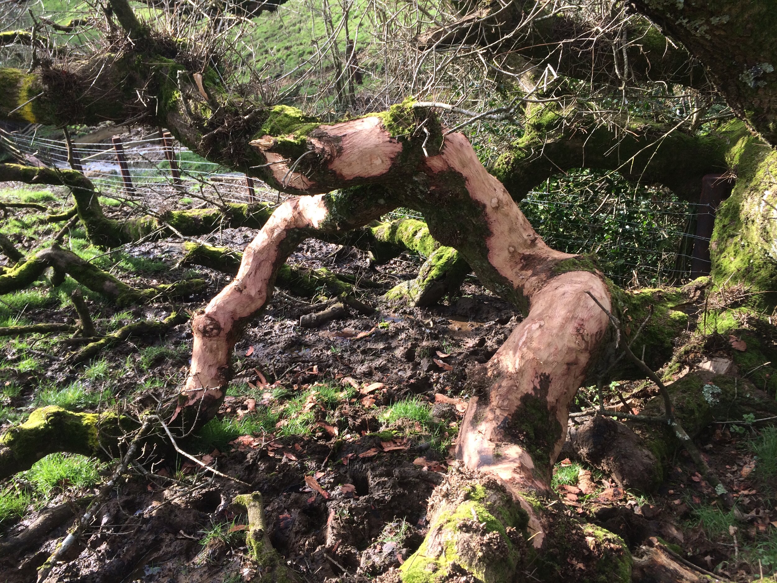 Parish Boundaries Project - starting..jpeg