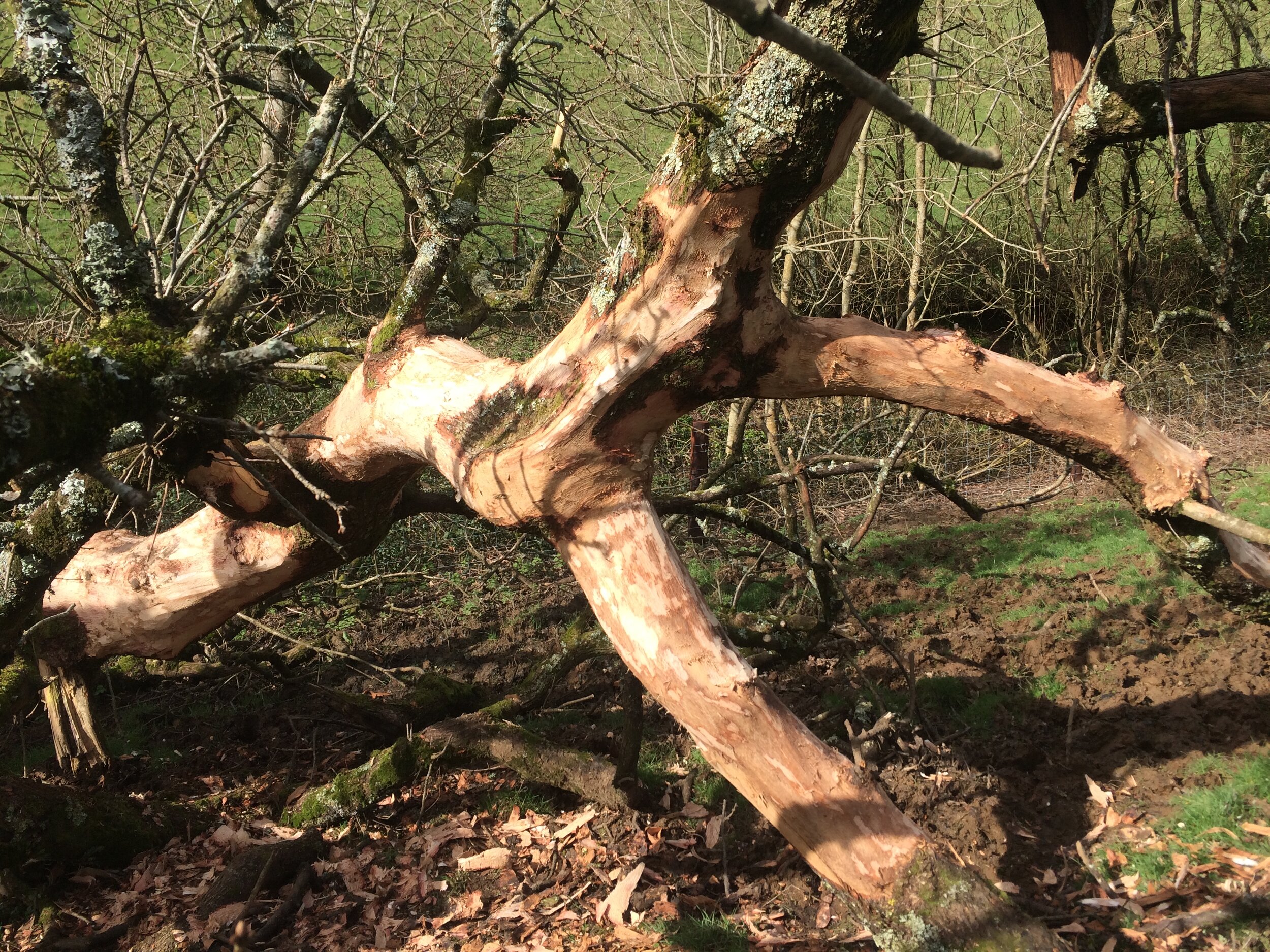 Parish Boundaries project - starting .jpeg