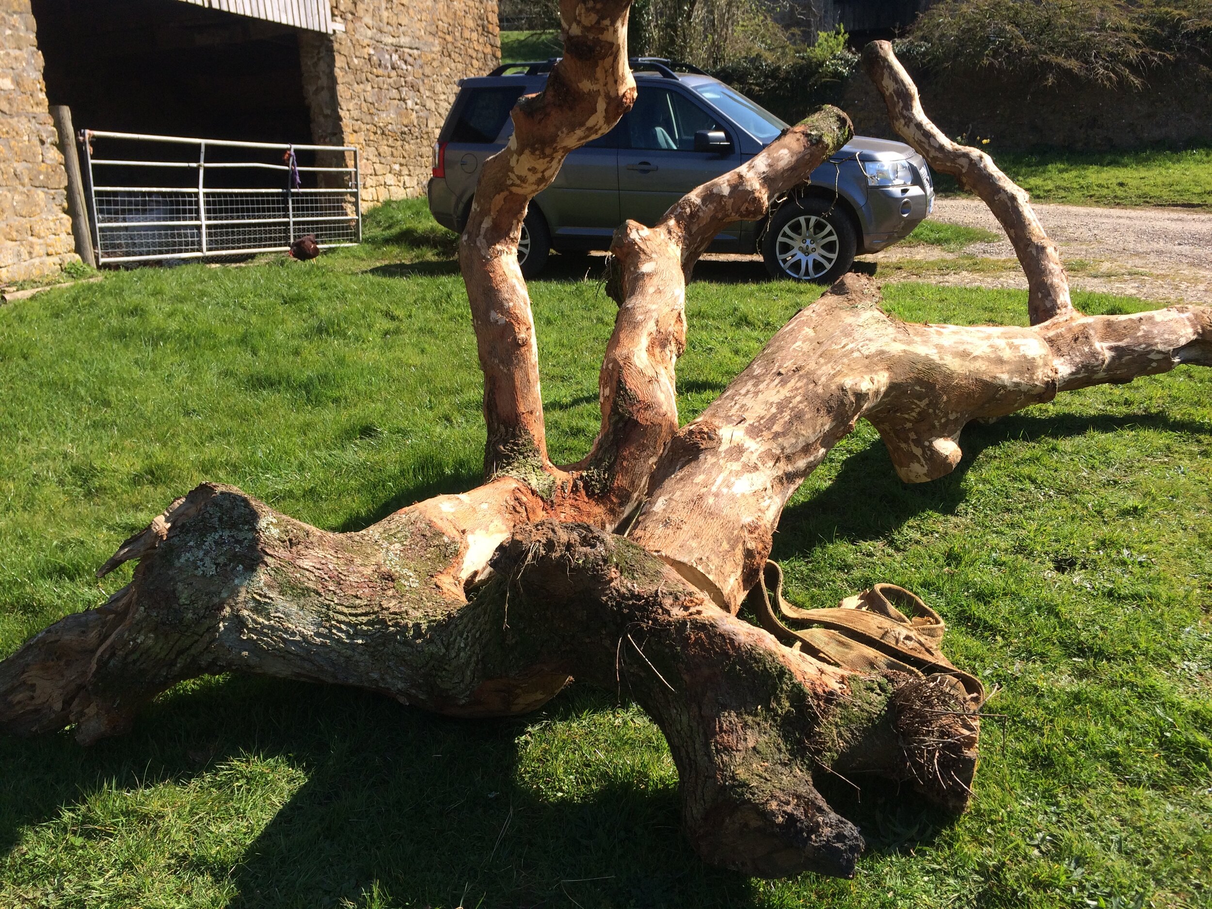 Parish Boundaries Project - Transit..jpeg