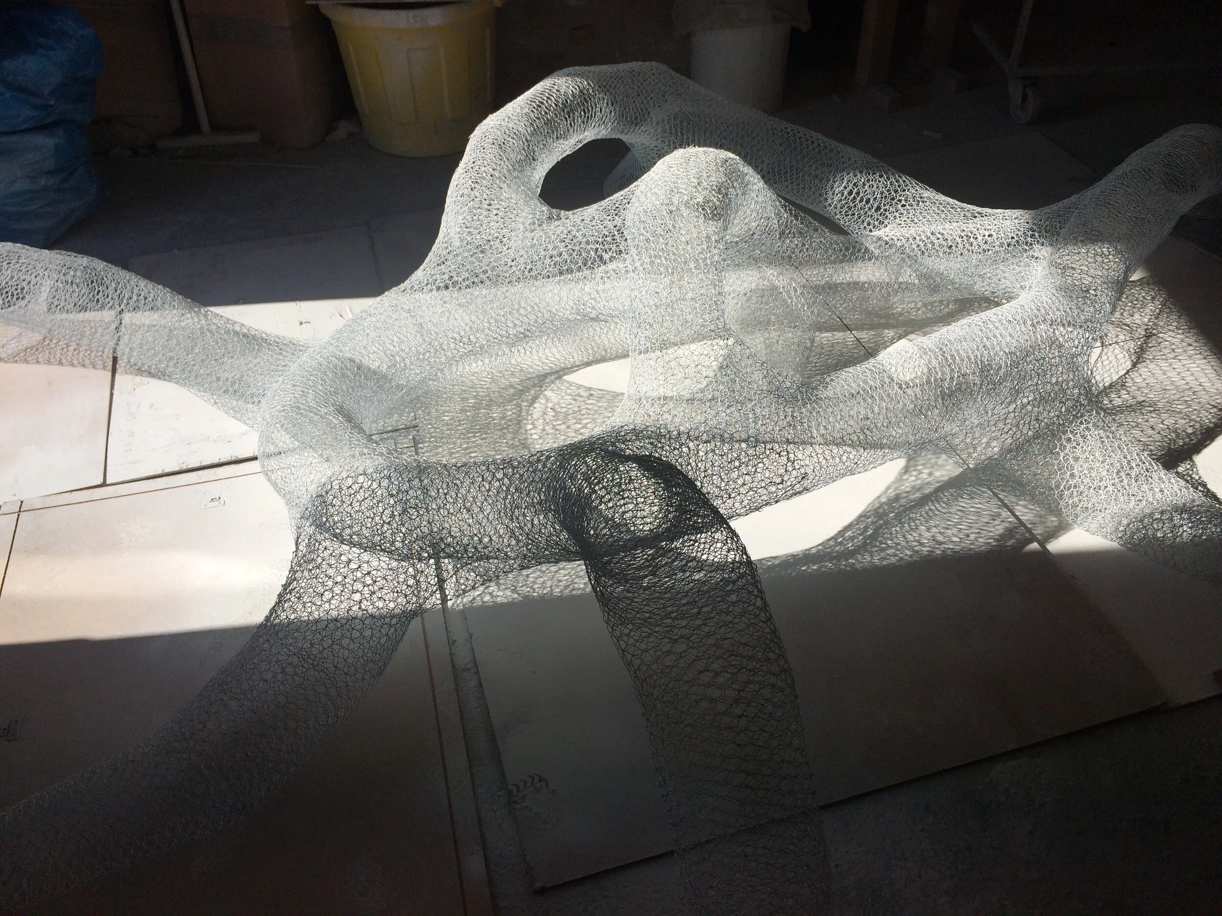 Link - before spraying .jpeg