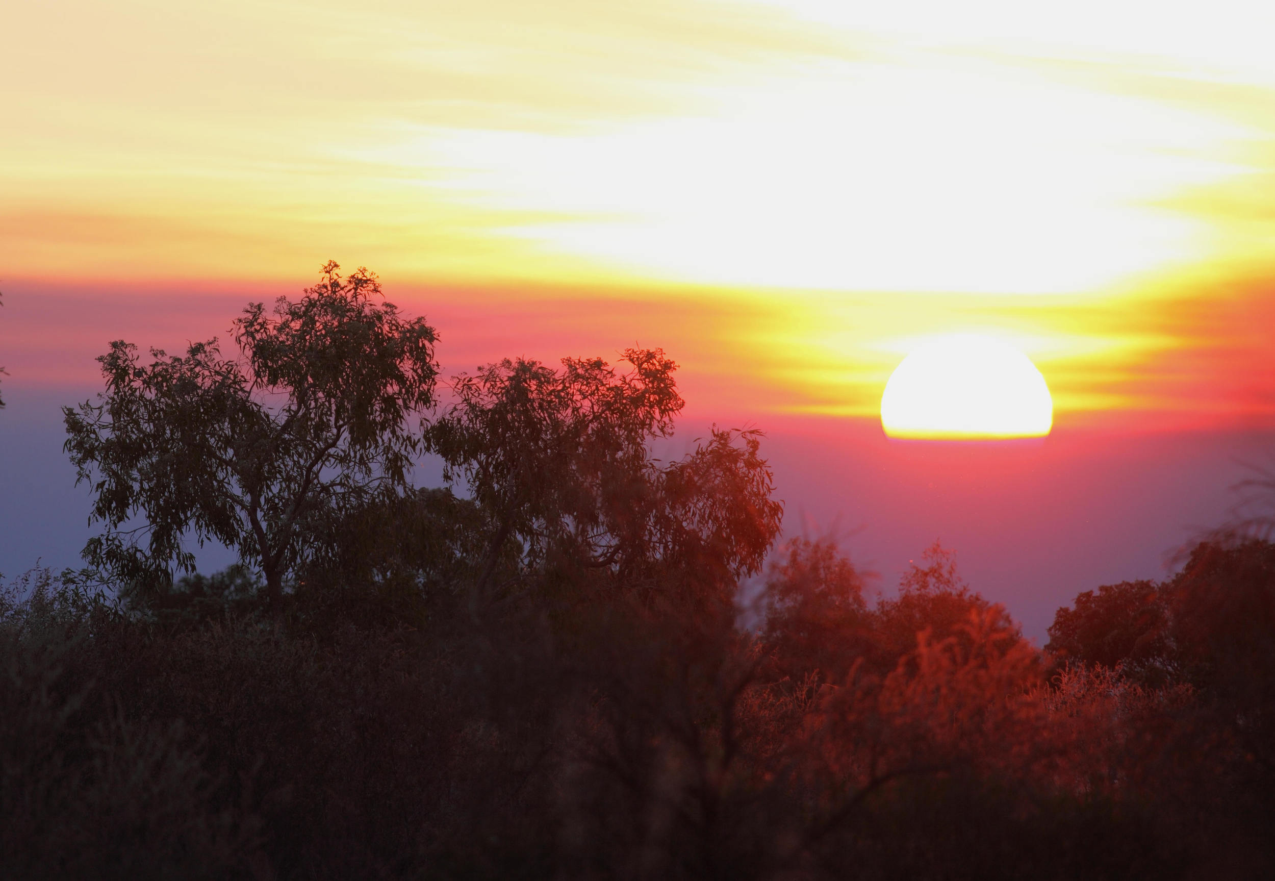 Sunset over the Wakaya Desert, Northern Territory in the vicinity of the report. A varied landscape.