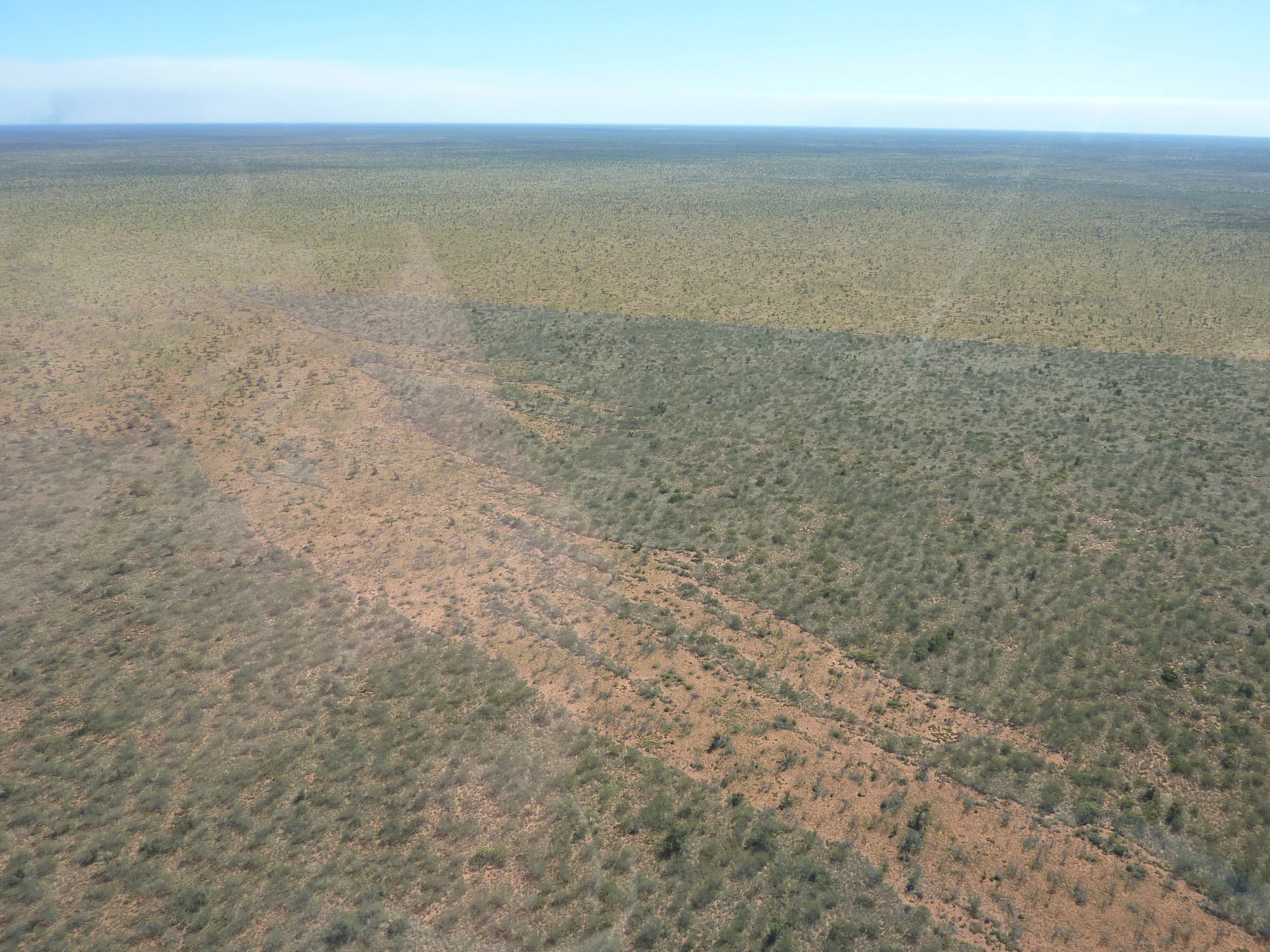 The Wakaya Desert is a landscape of extensive native grasslands with immense fire scars, ephemeral swamps, chenopod, and gibber. 