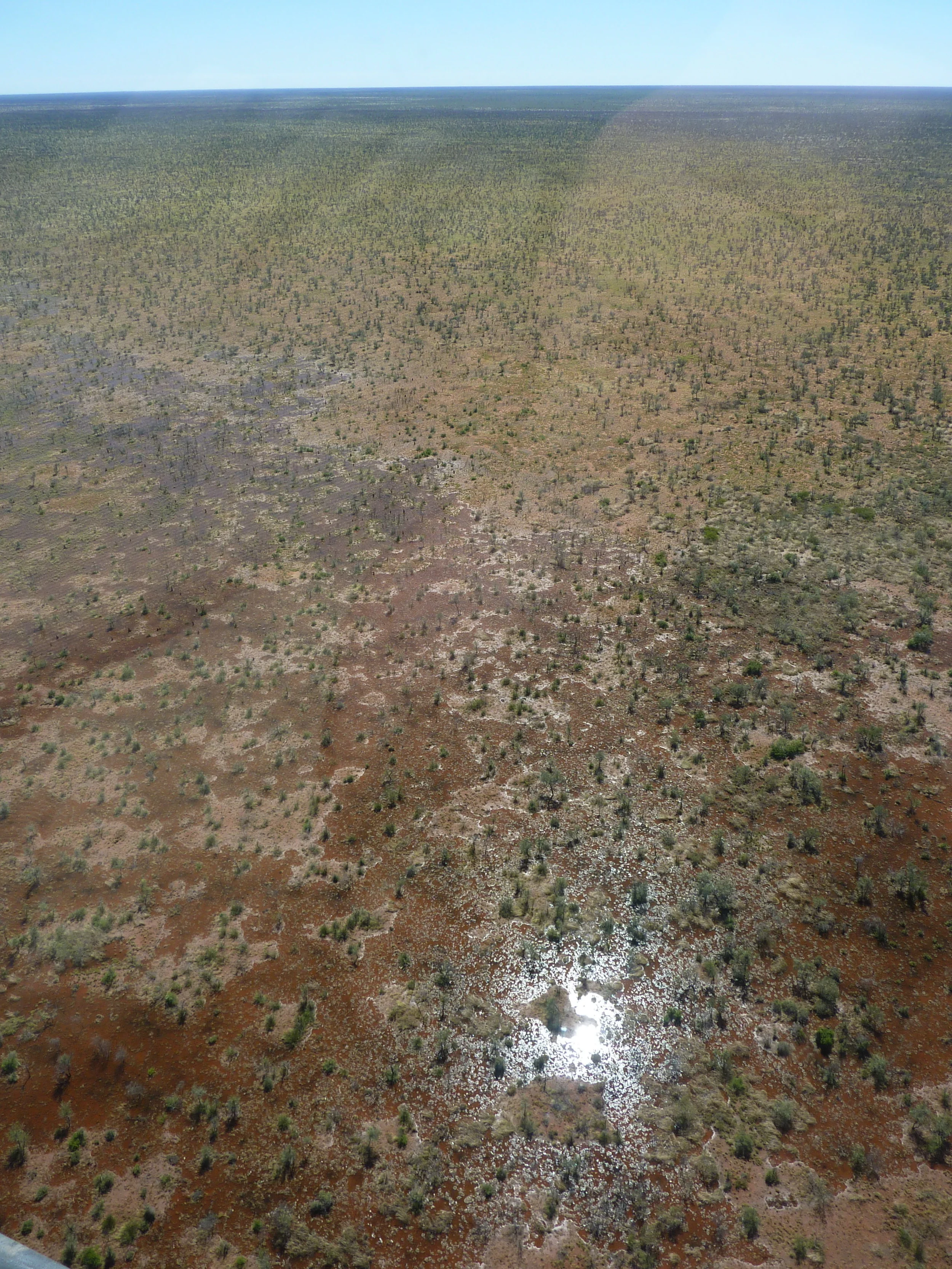 The Wakaya is exceptionally flat with local relief changing only a few meters over hundreds of kilometres. Periodic rains can flood extensive areas for weeks at a time.
