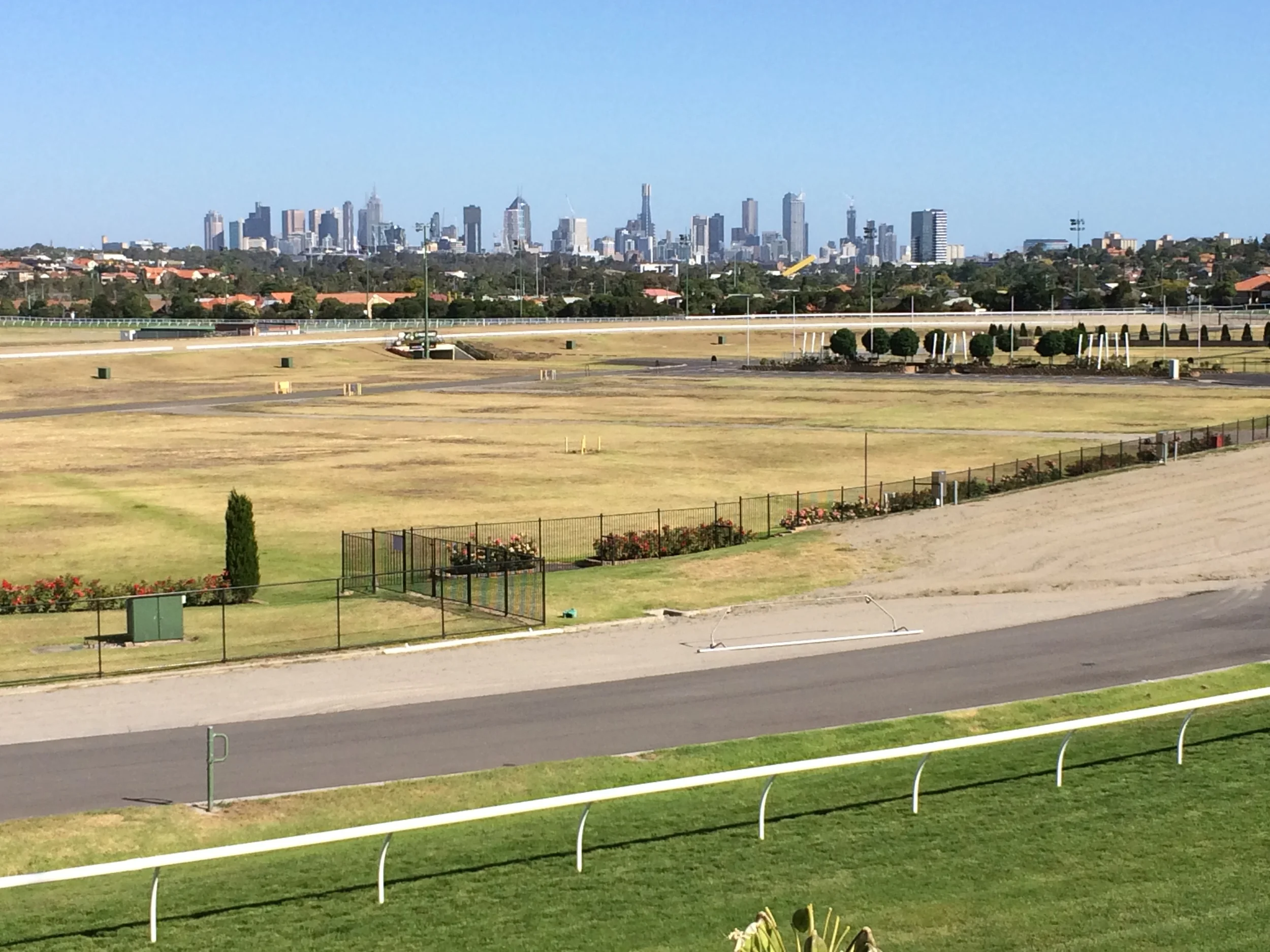 The Melbourne skyline from the home straight at Moonee Valley racecourse - an urban jungle beckoning to the intrepid city-birder.