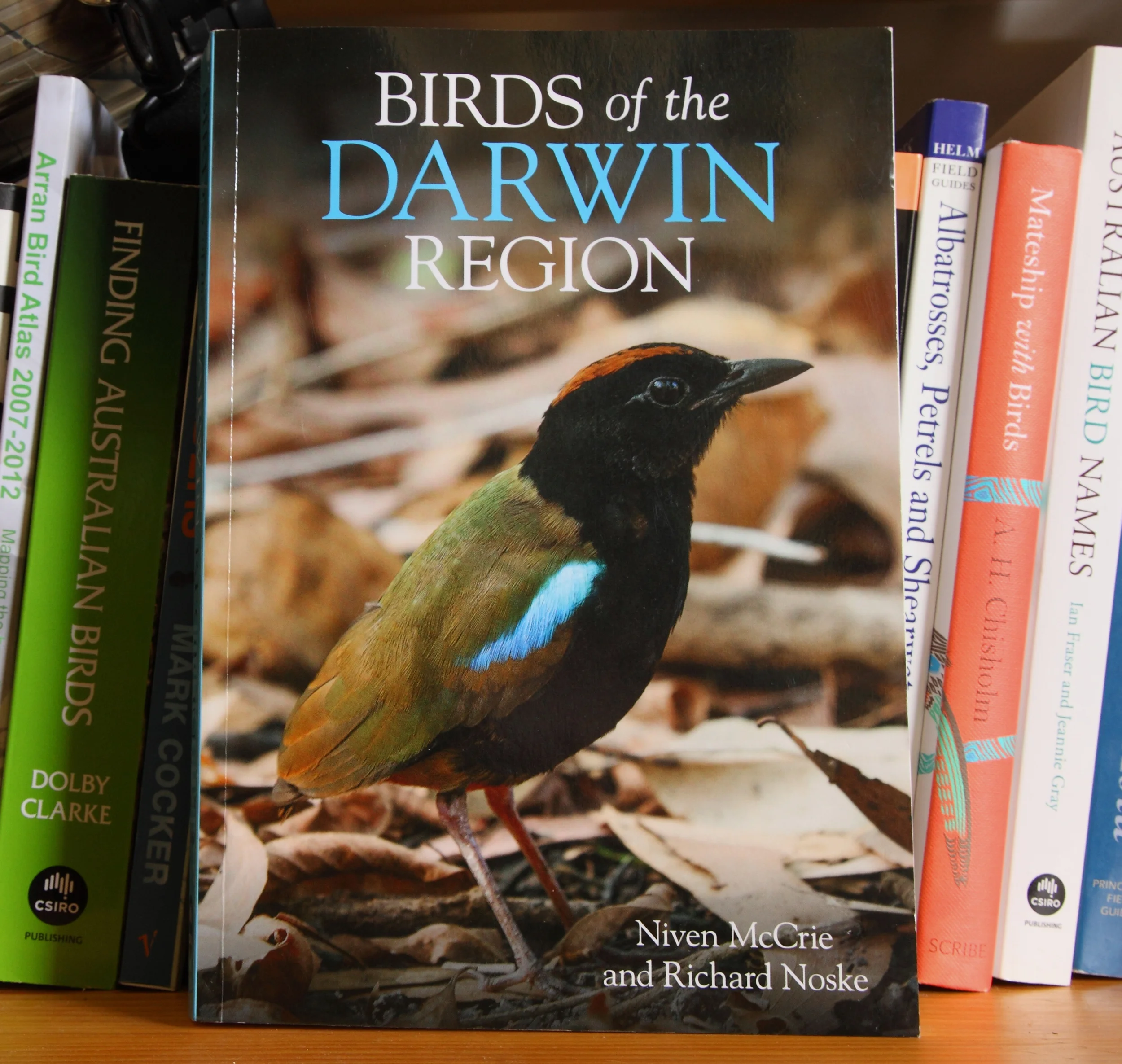 Laurie Ross' eye-catching Rainbow Pitta adorns the cover. One of the easier to see of this typically elusive family, and still relatively easily found around Darwin.