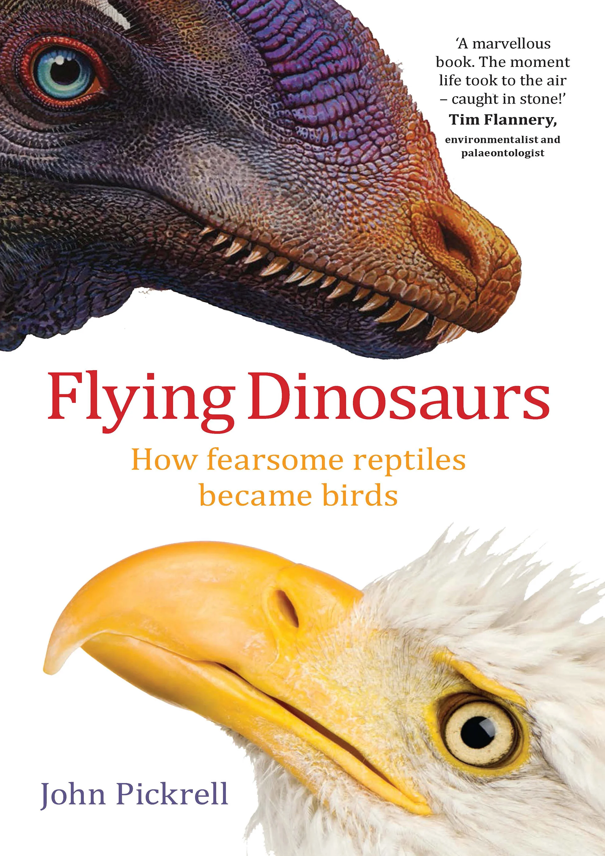 Flying Dinosaurs.jpg