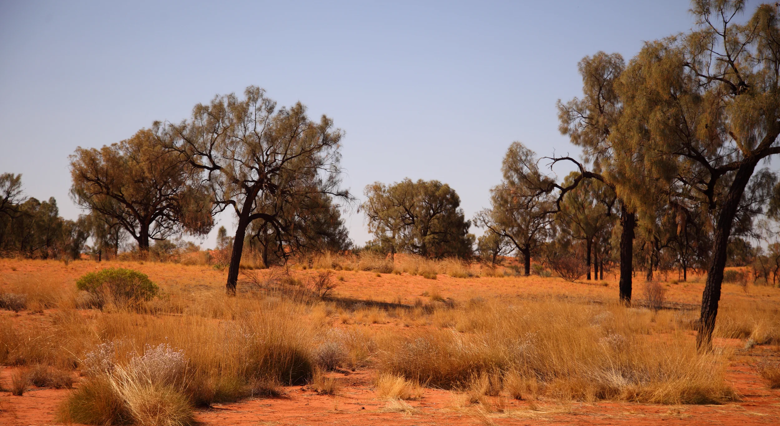 Jupiter Well 09.jpg