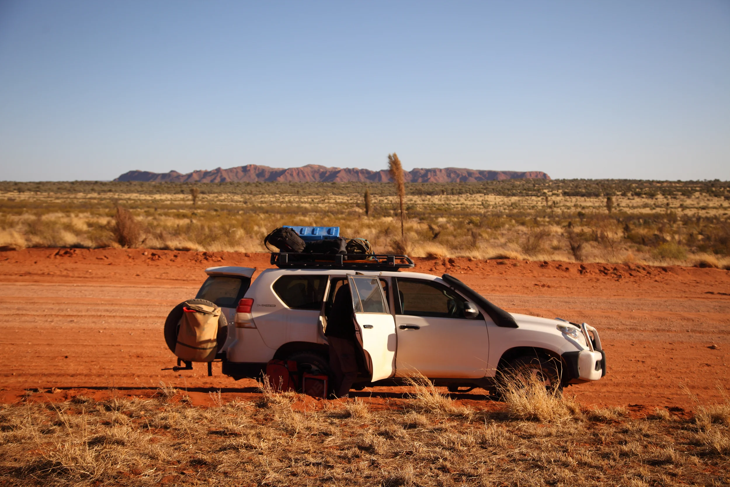 Whether it's pelagics on the blue paddock or expeditions inland, someone has to go looking or we never learn anything.
