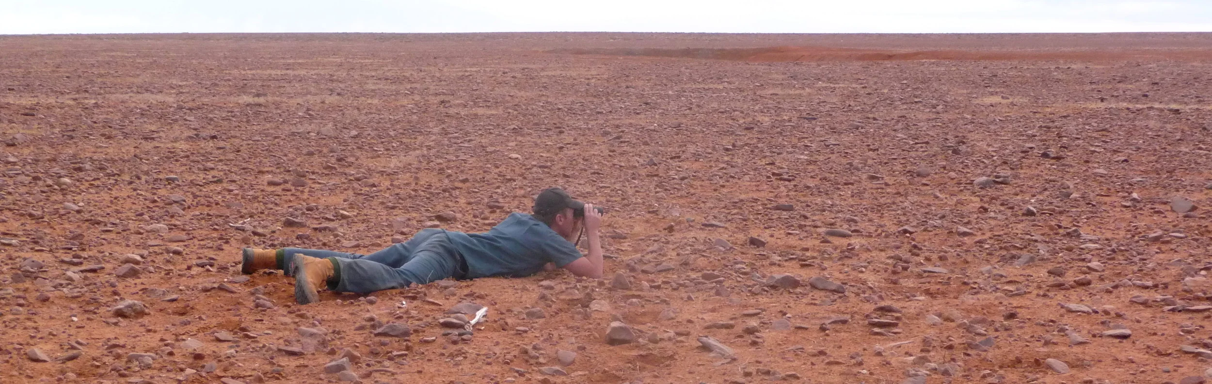 My old NT 'Thon team were The Gibberbirders... we never saw much.