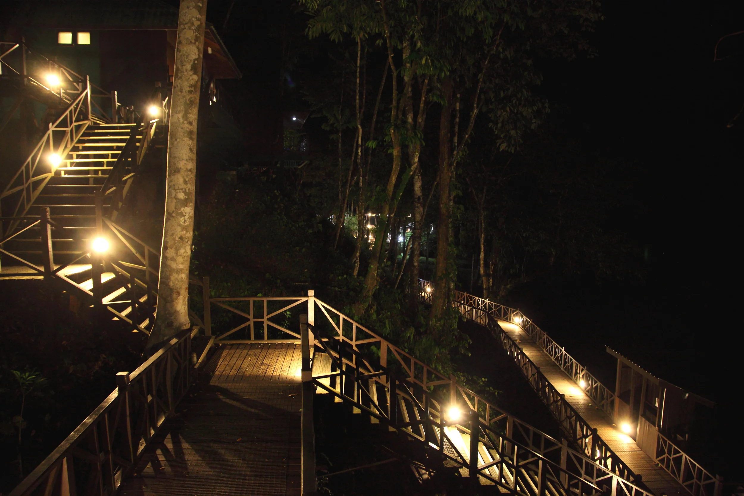 Tabin after dark - an extraordinary Escher-like tangle of stairs through the jungle. Like living in an Ewok village.