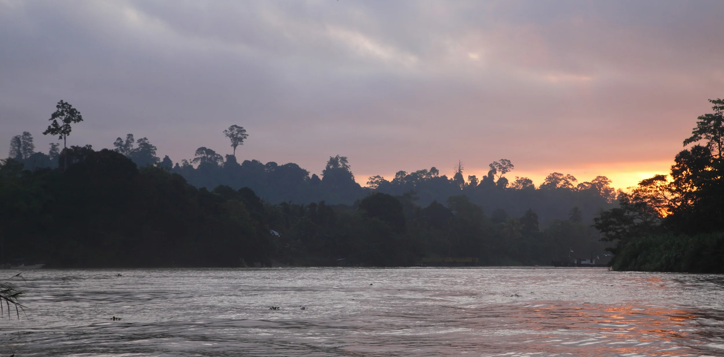 The Kinabatangan near Abai.