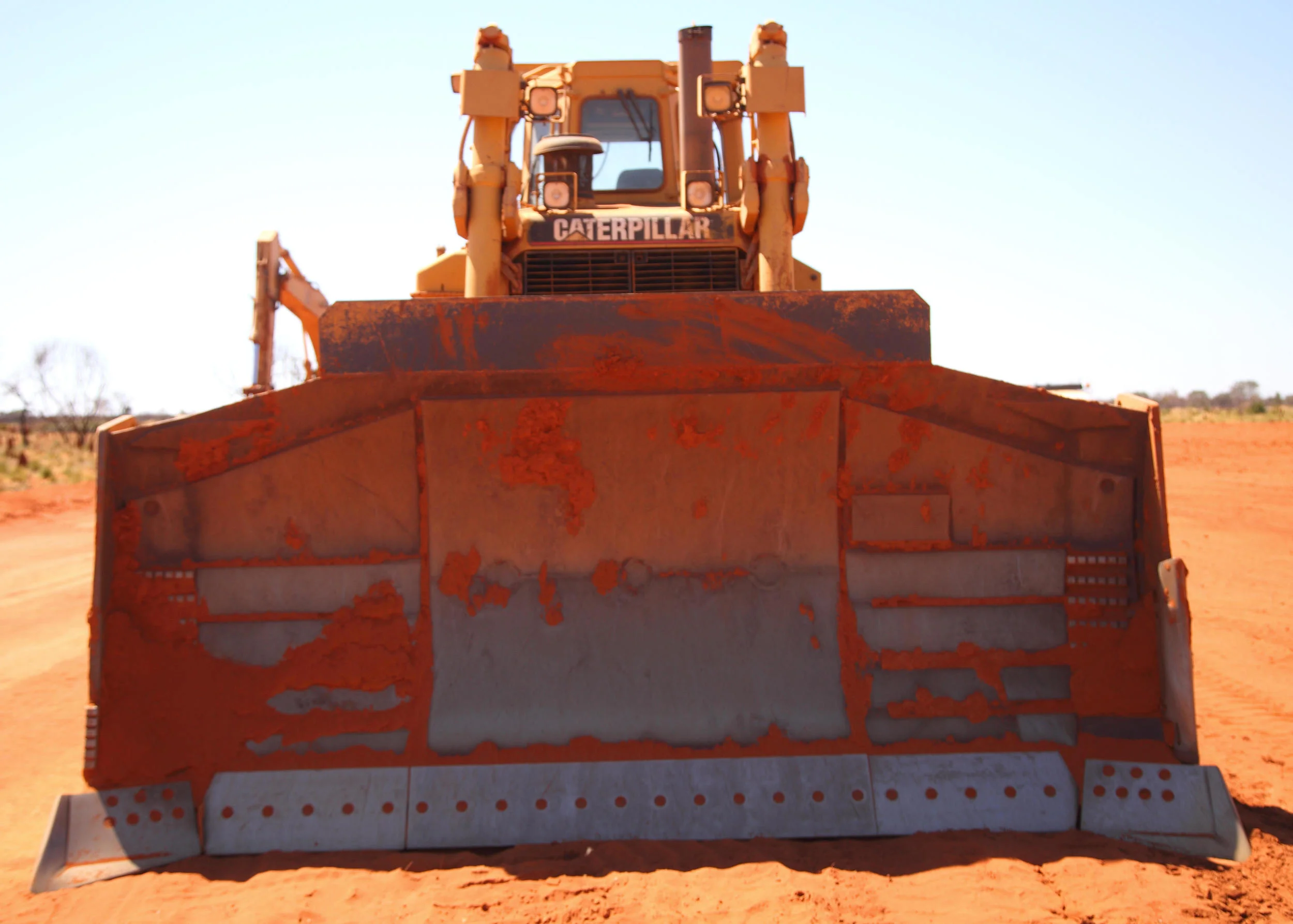 Bulldozers: an actual threat to bird conservation