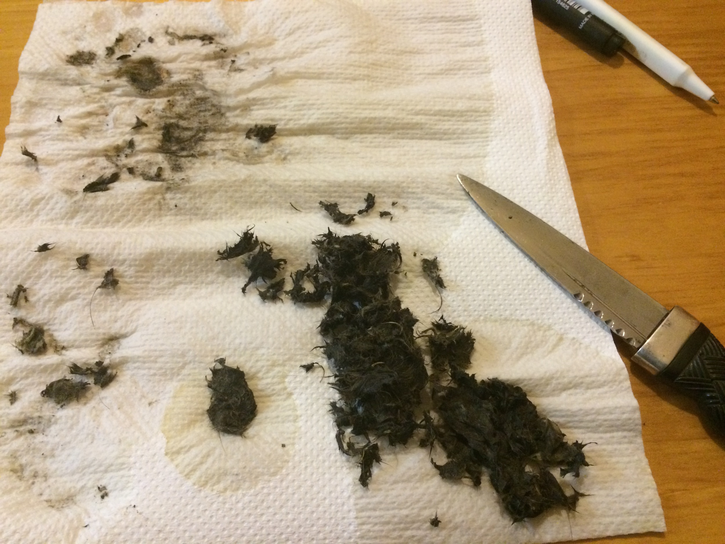 Mmmmm... wet dog smell. All that remains of the pellet after soaking in warm water; a lot of hair.