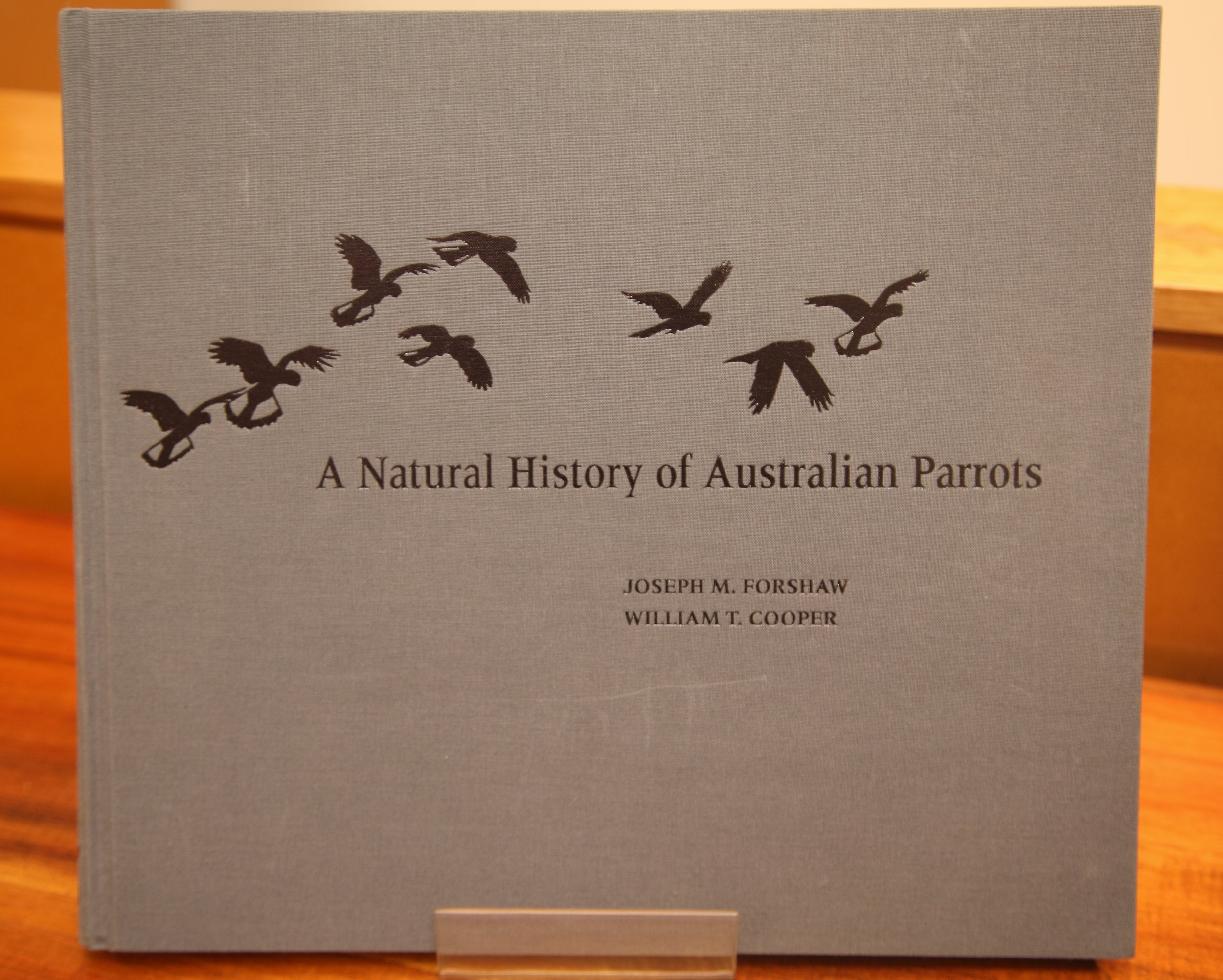 Cooper Parrots 03.jpg