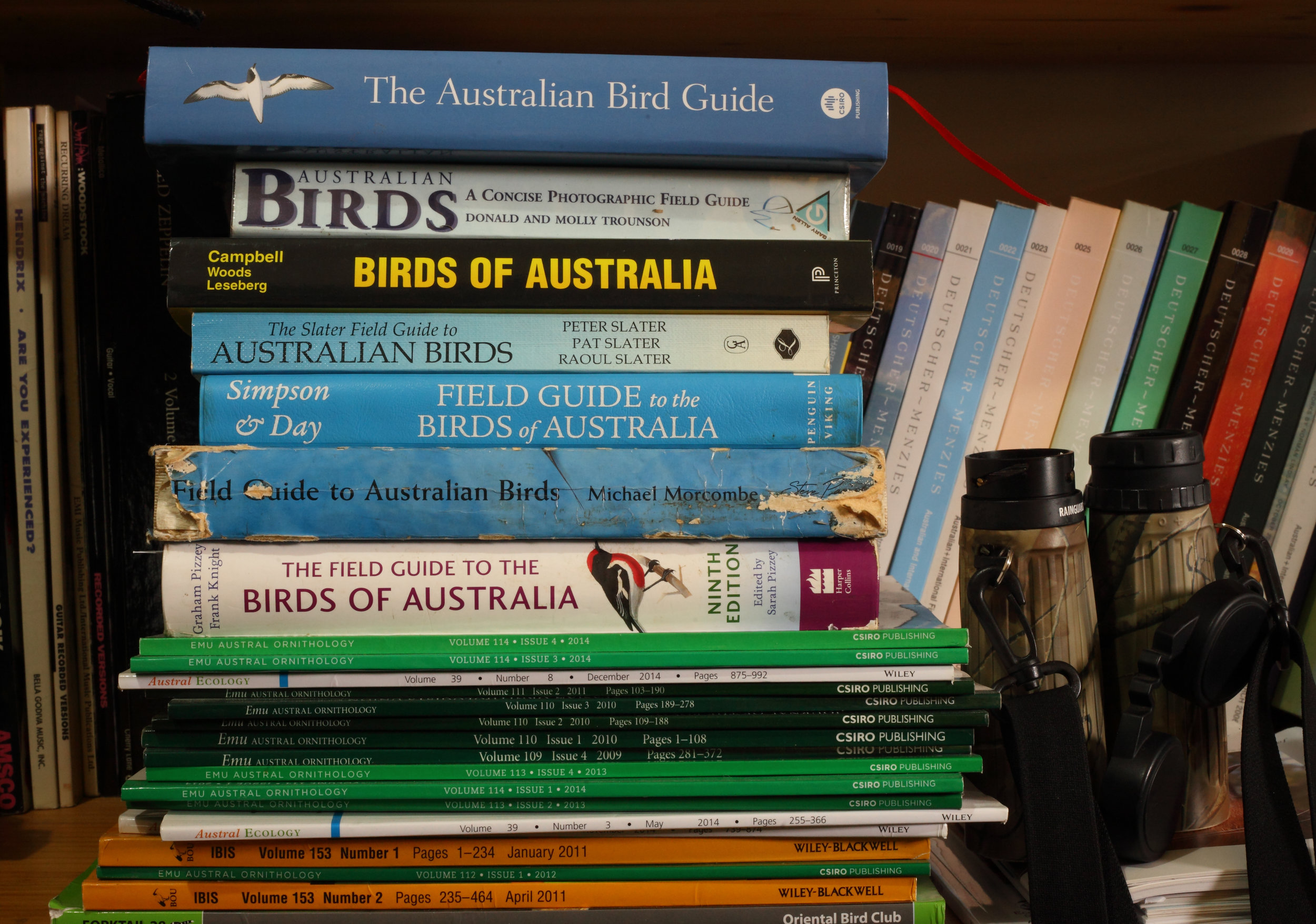 Australian Bird Identification Chart