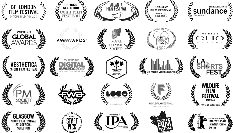 7th birthday awards and laurels FINAL.png