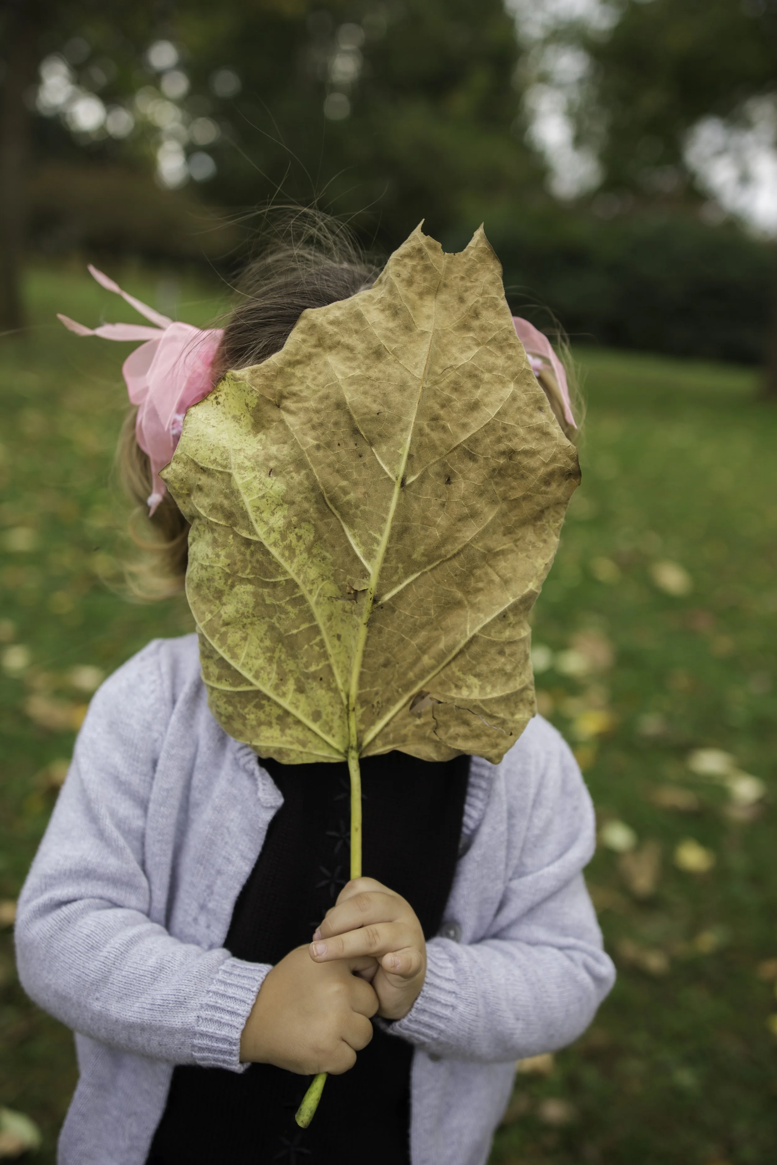 October 16_edited-62.JPG