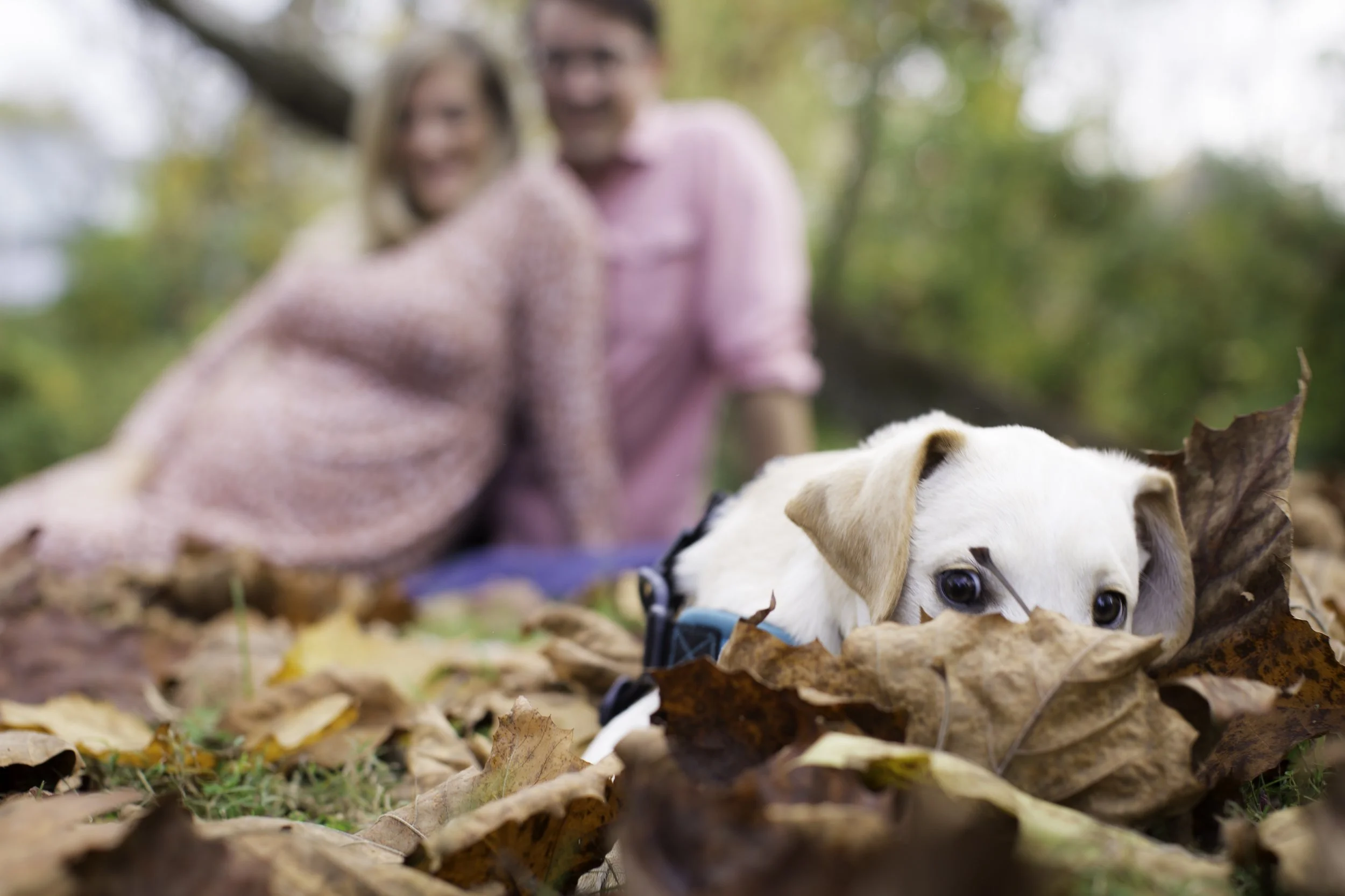 October 24_FINAL-17.JPG