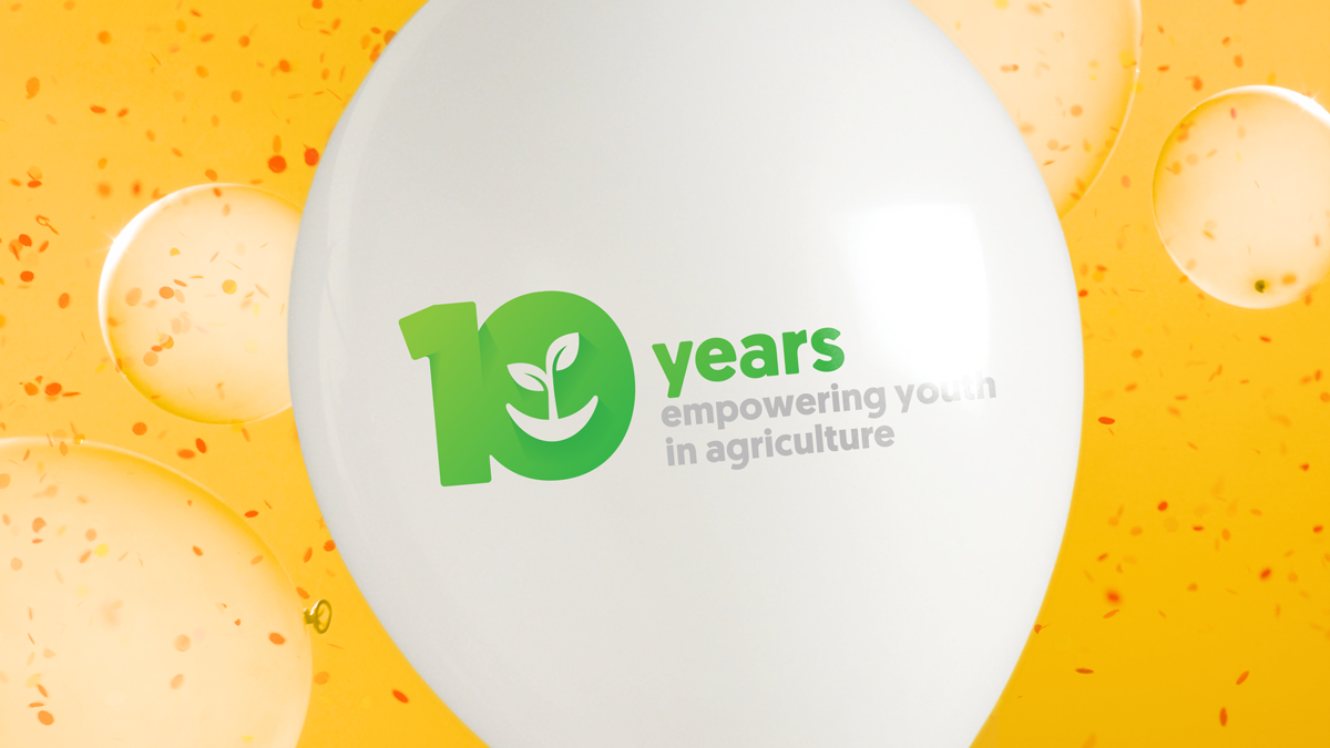 ypard 10 years anniversary