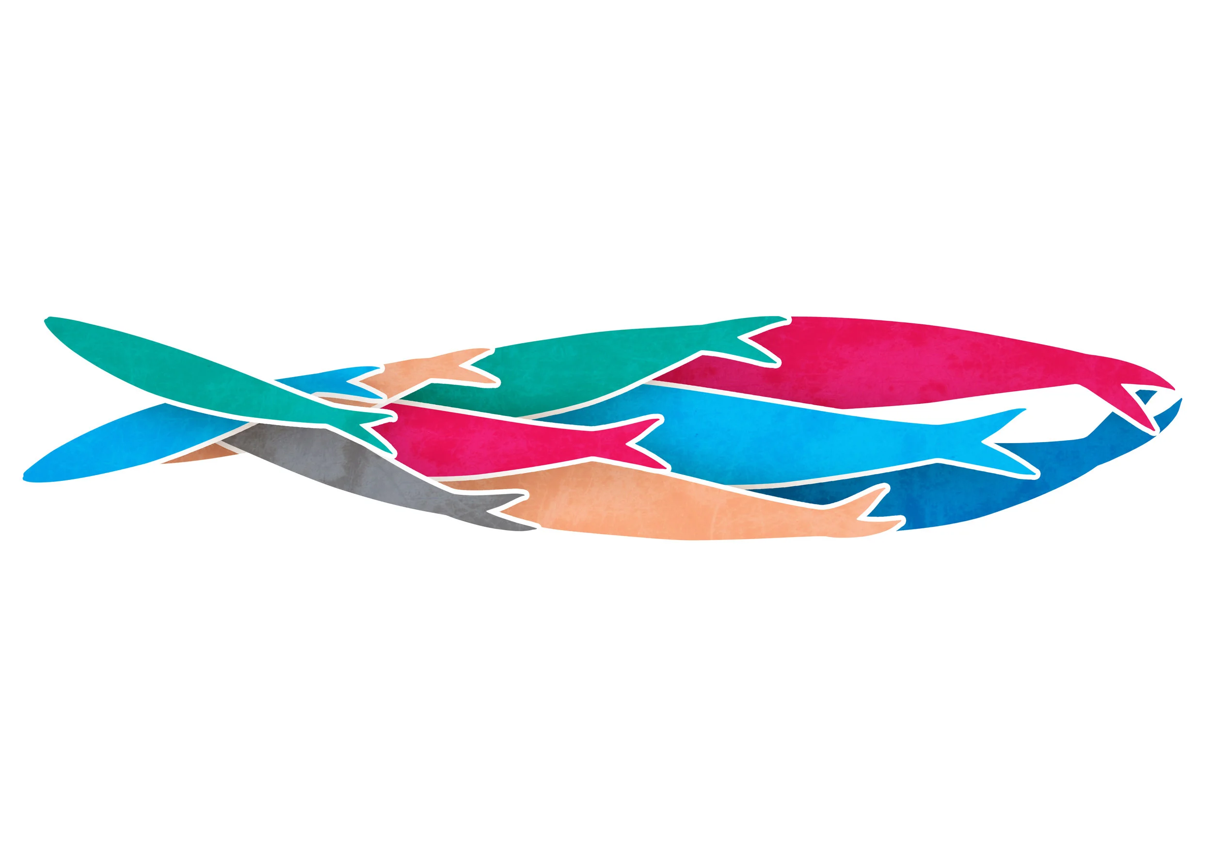 sardine sardines