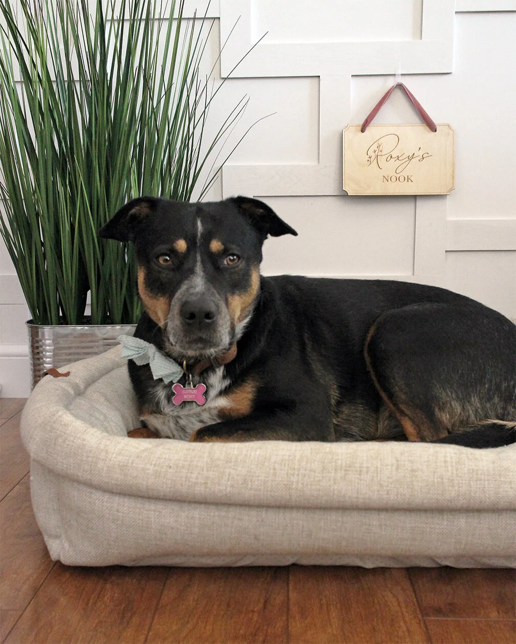 dog bed with name