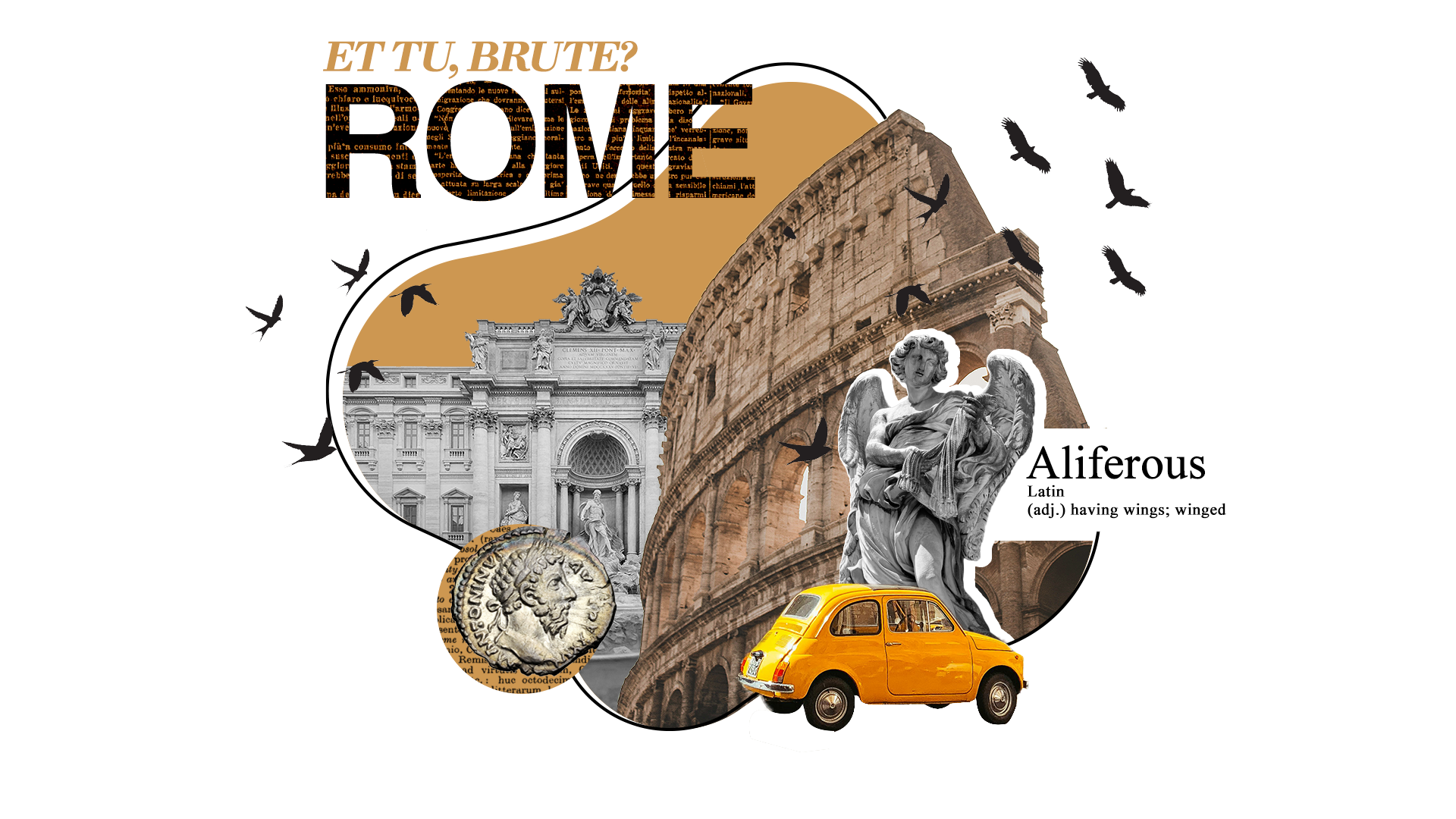 Collage - After Effects