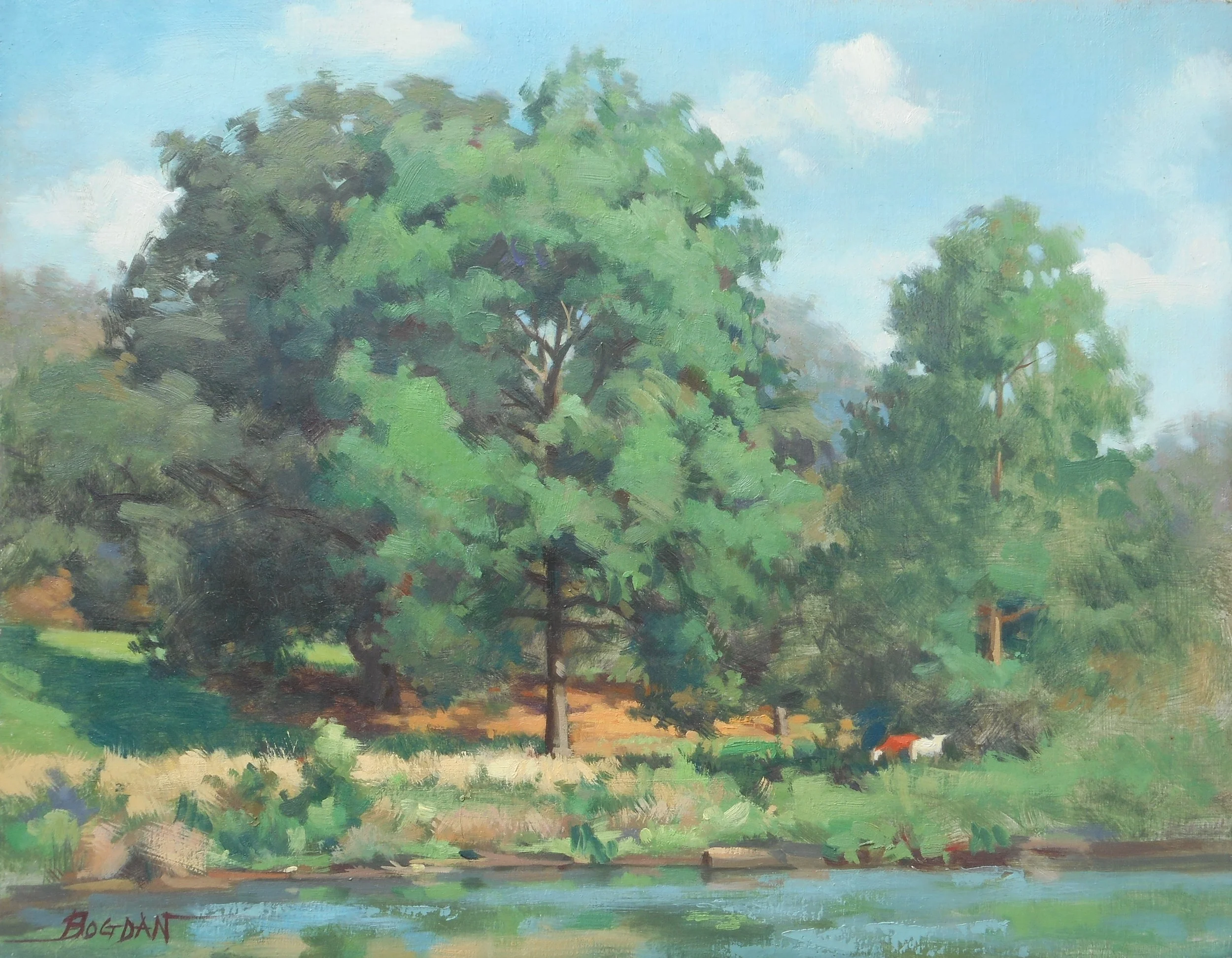 Trees overlooking pond, 11 x 14, Oil on canvas