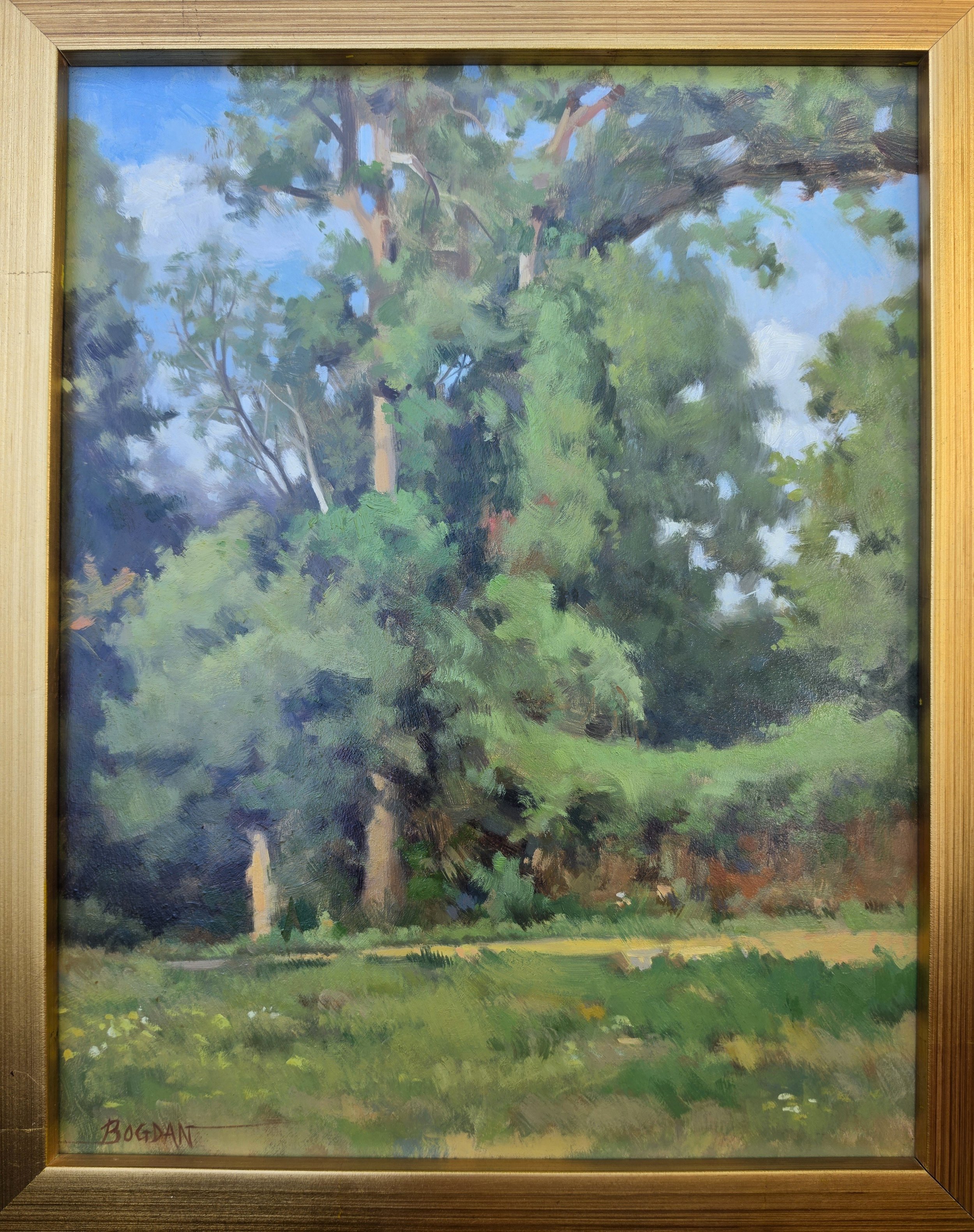 Landscape with Path