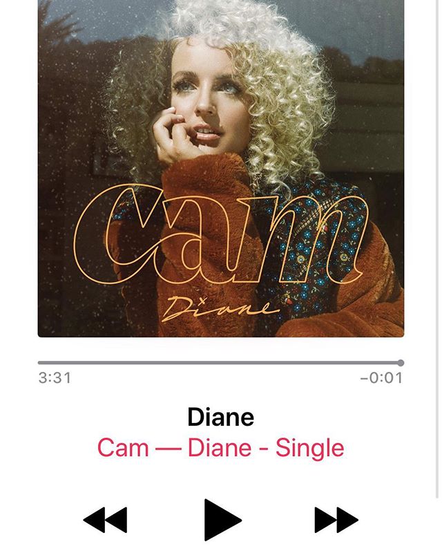 #DIANE is finally here!! Go download &amp; stream!! Super fans &amp; friends: #Diane needs you to share everywhere you can 💛 grassroots-style before this hits country radio 📻 (link in bio)