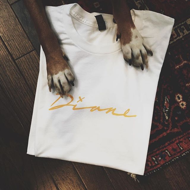 It&rsquo;s SO fun to read your reactions to #Diane!! Keep sharing-  my pup Honey is gonna send custom Diane shirts to the fans with the best posts 👕💛