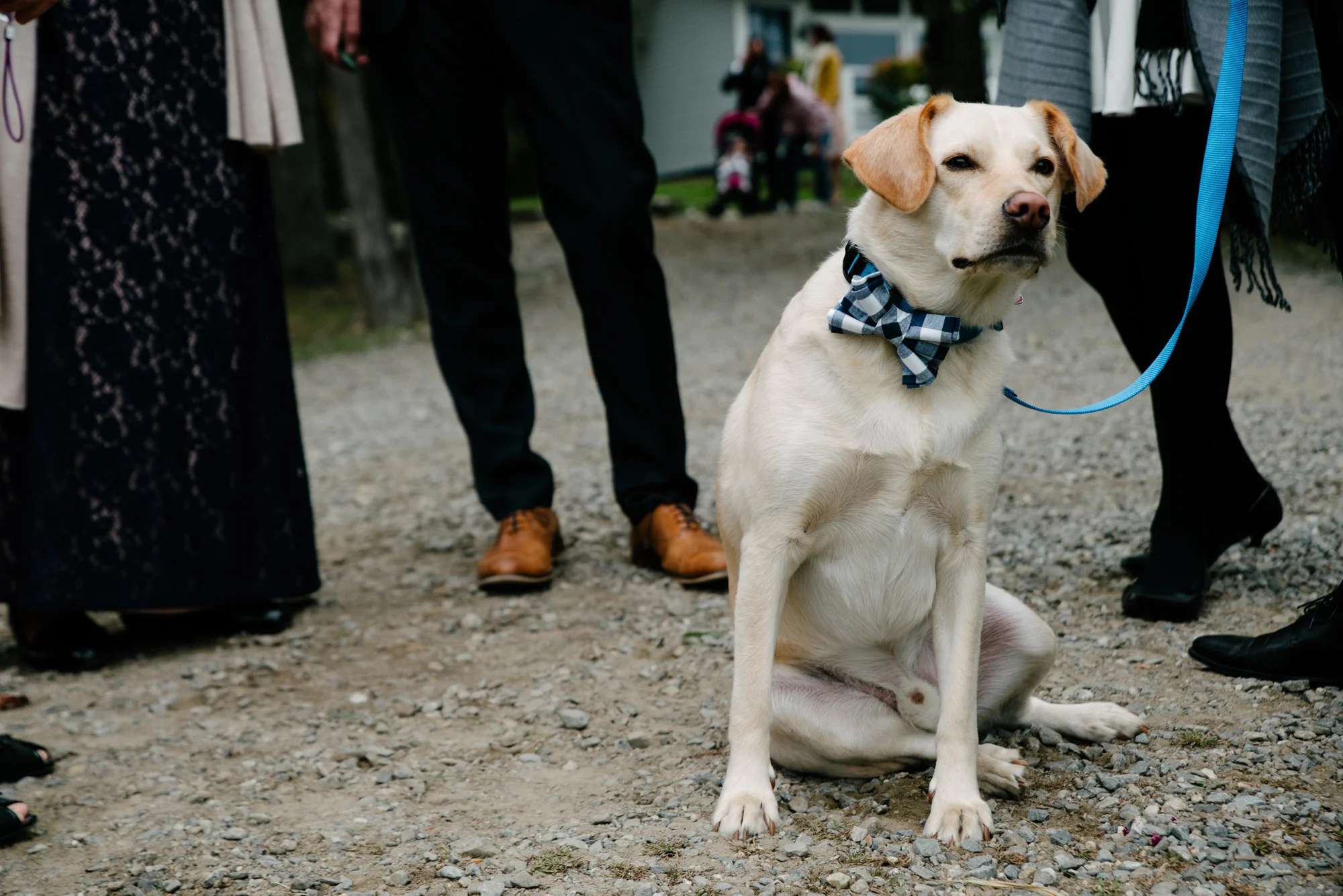 burt-wedding-web-size (100 of 285).jpg