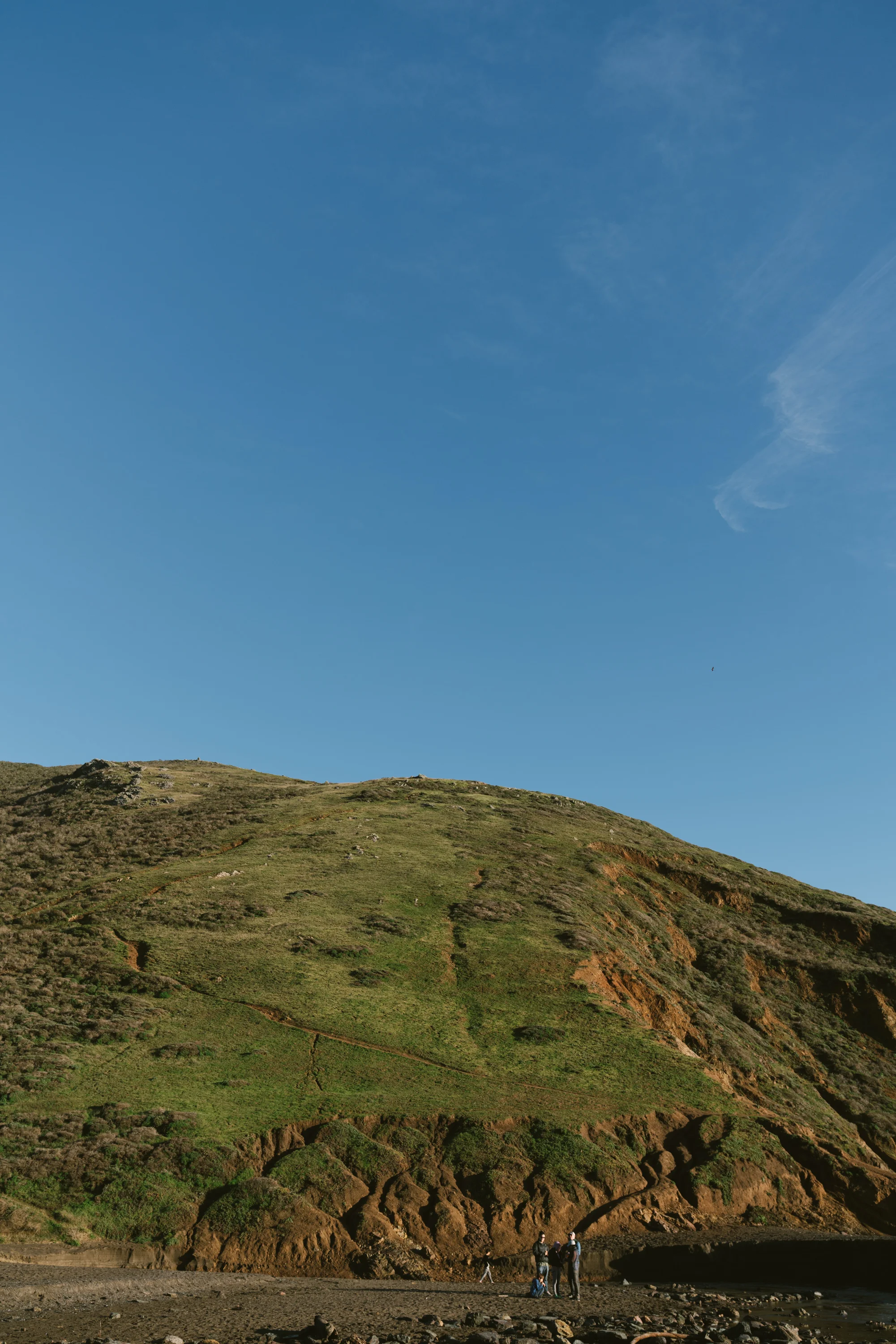san-francisco-website (70 of 85).jpg