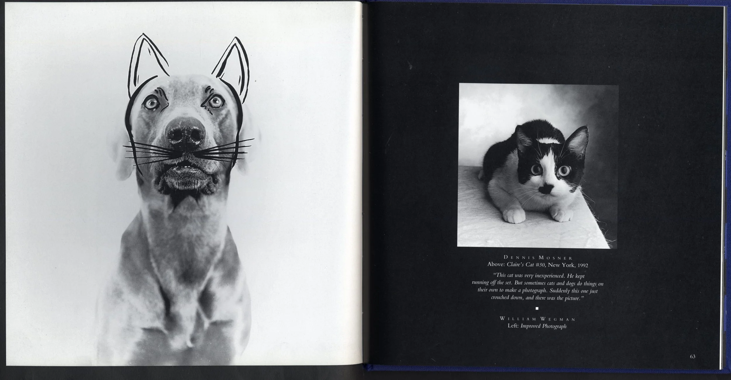 BW Cats_4.jpg