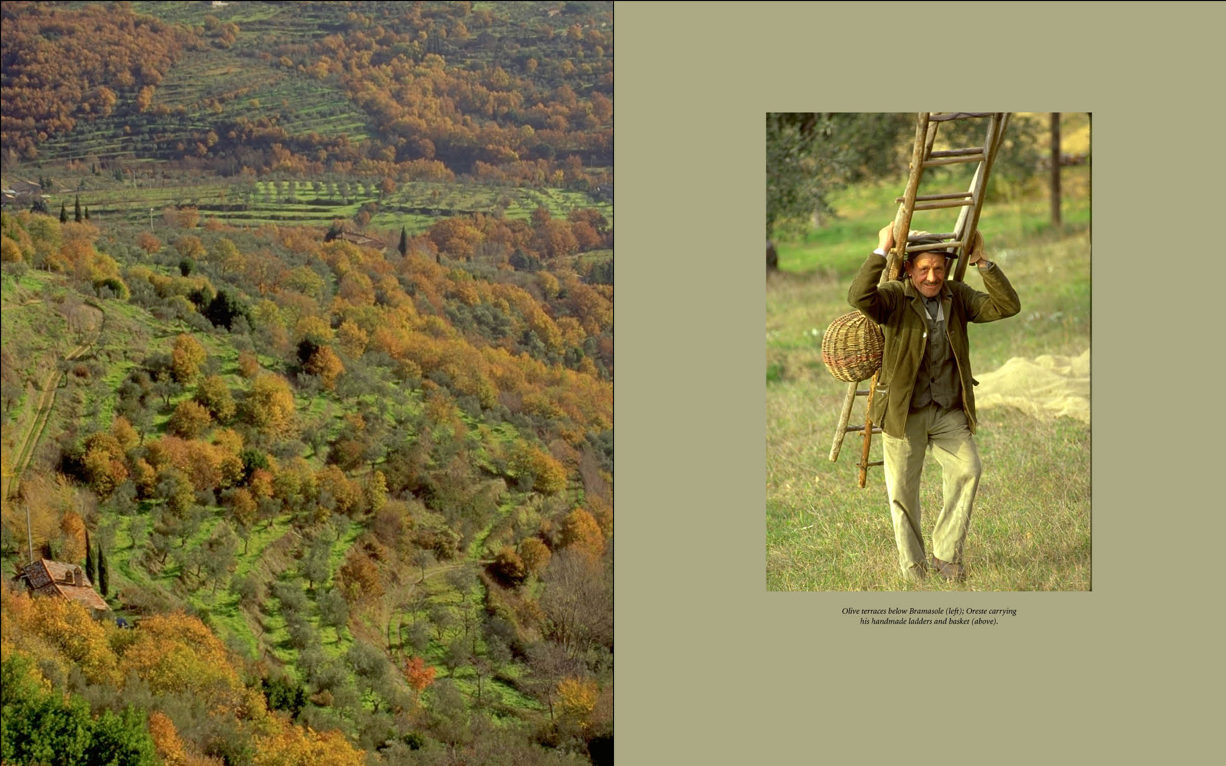In Tuscany Int_8.jpg