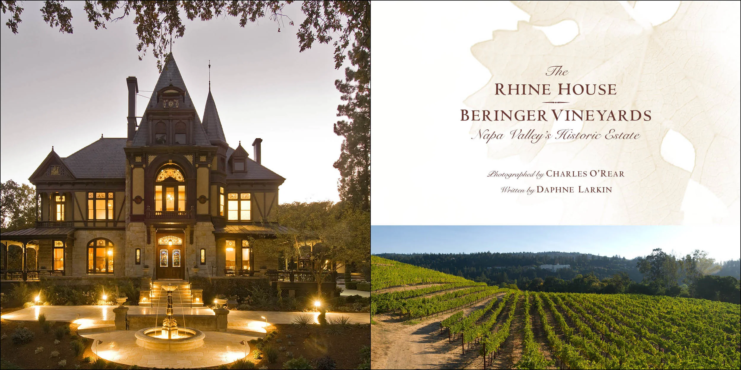 Beringer Int_1.jpg
