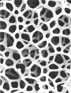 opencellphoam.jpg