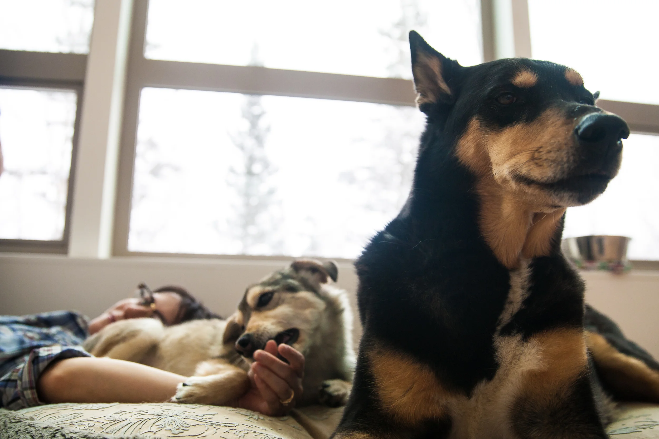 I enjoy spending my mornings getting nibbled on; on the same bed that Bob spends his nights.