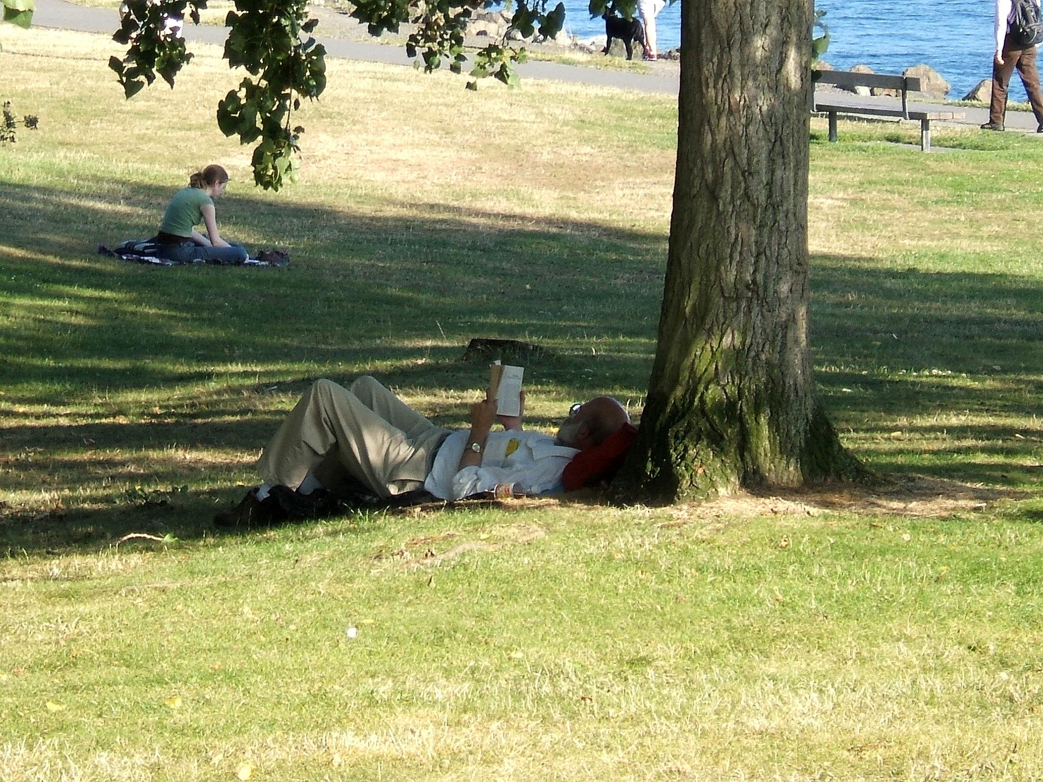 Man reading image