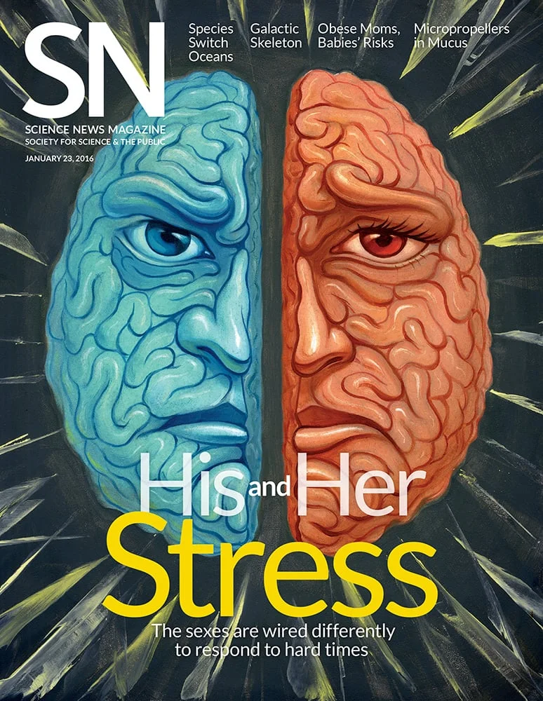 Stress_cover.jpg