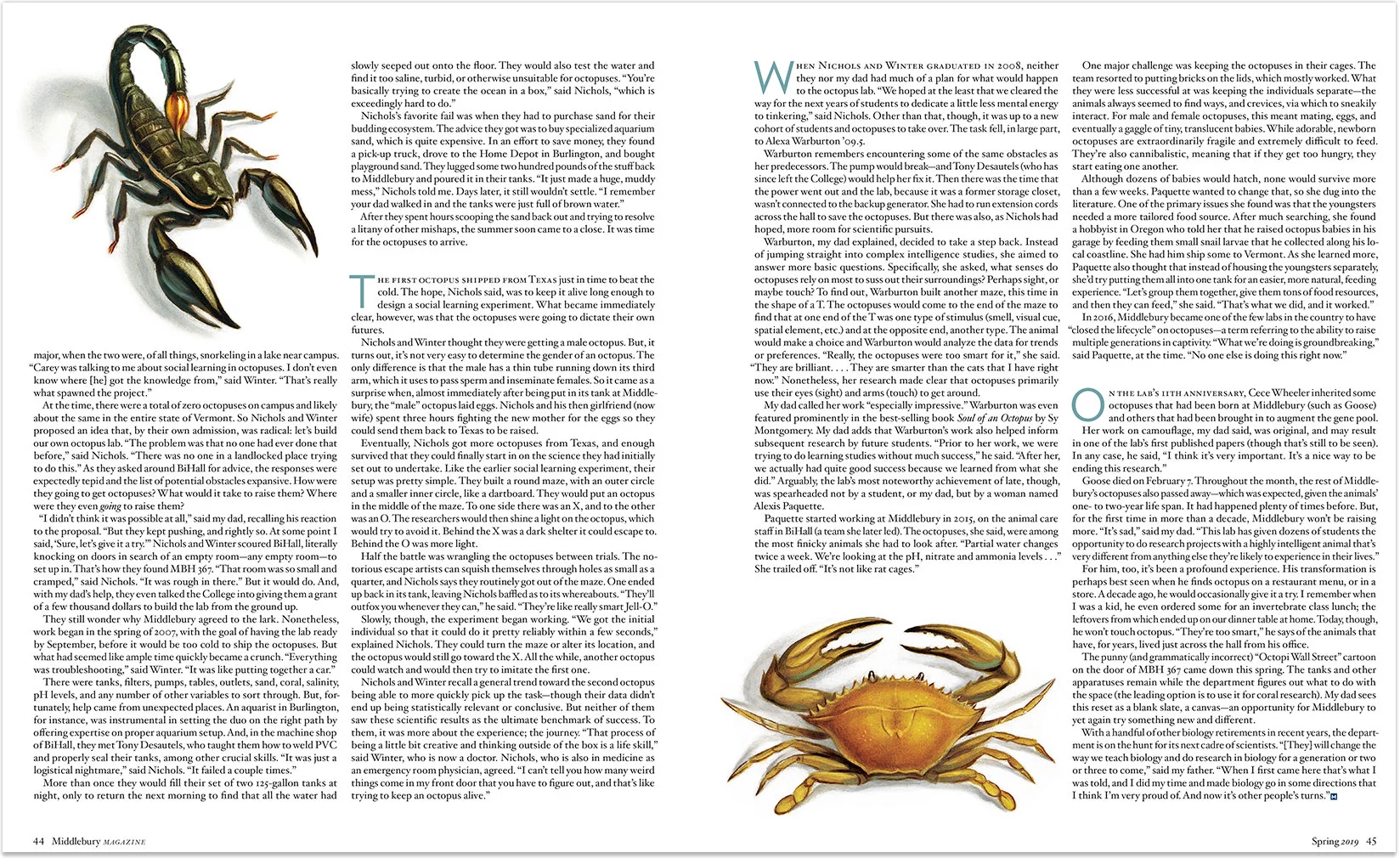 Octo_ScorpionCrab_Buzelli.jpg